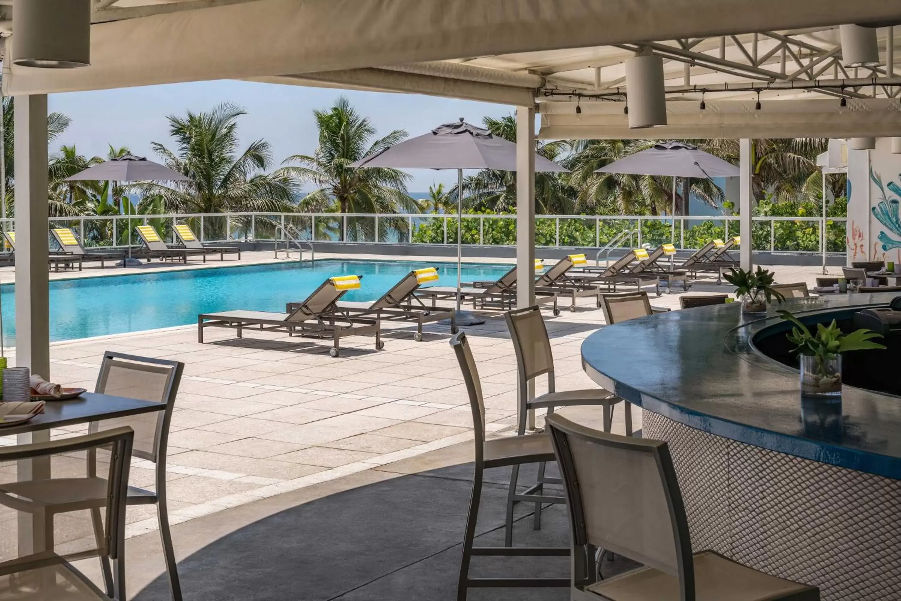 Swimming Pool in The Westin Fort Lauderdale Beach Resort