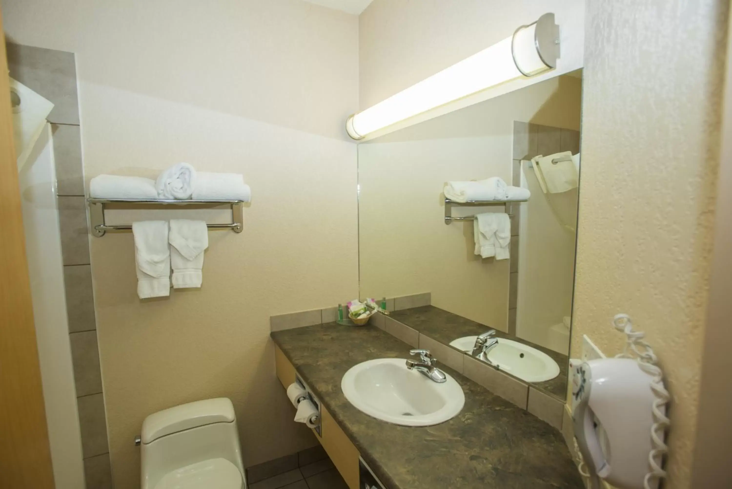Bathroom in Lakeview Inns & Suites - Chetwynd