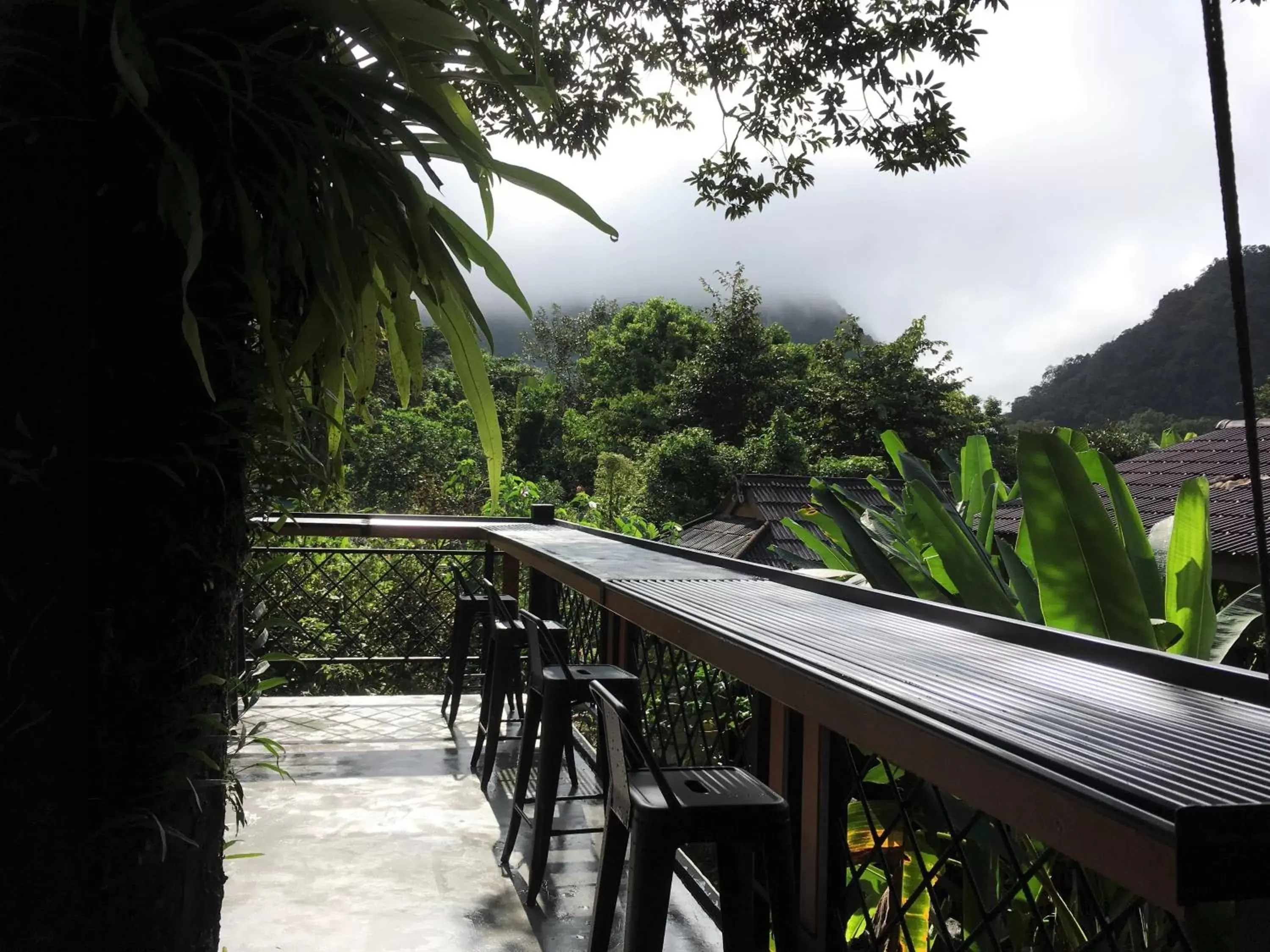 Restaurant/places to eat in Khao Sok Morning Mist Resort