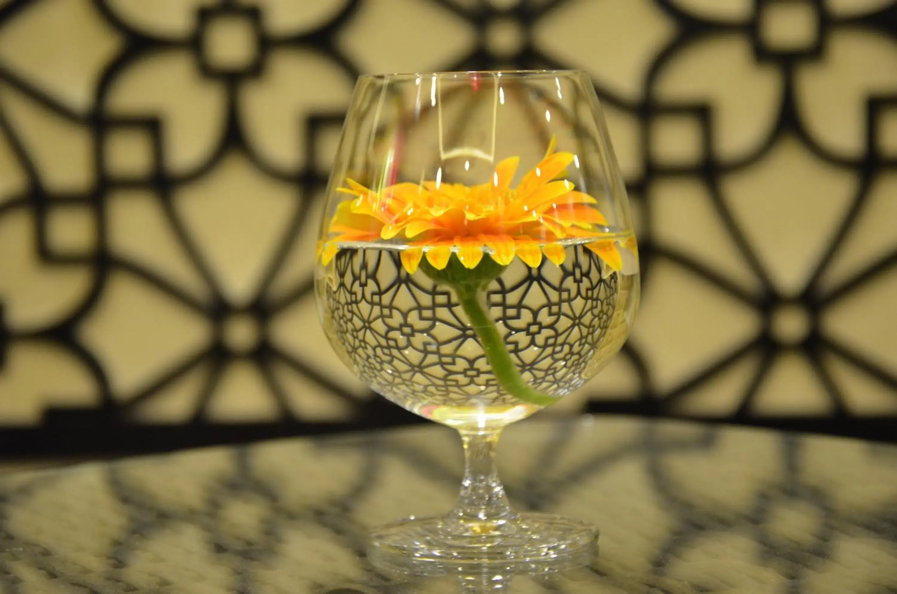 Restaurant/places to eat in River Suites Hoi An Restaurant/places to eat in River Suites Hoi An