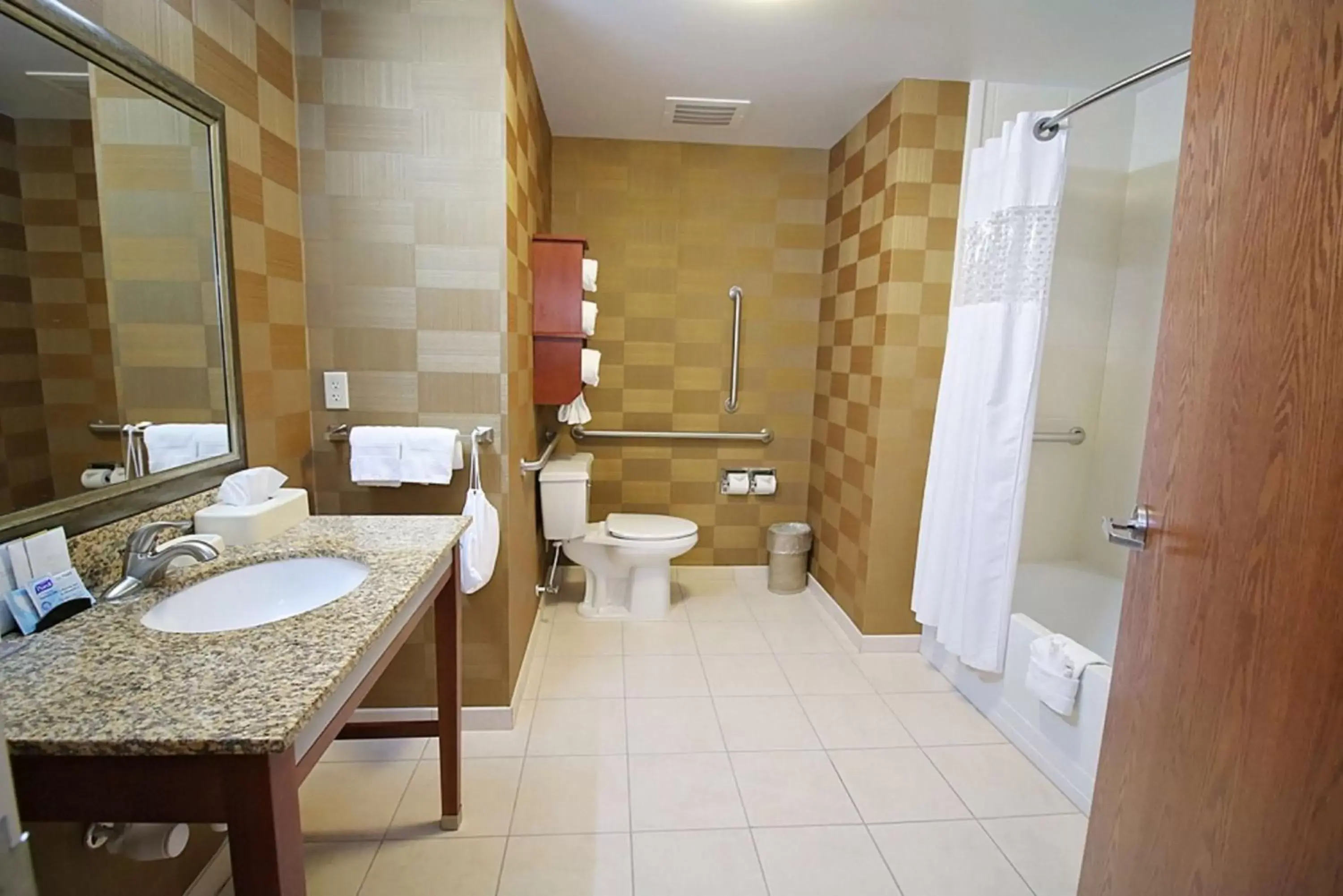 Bathroom in Hampton Inn Detroit/Auburn Hills-North