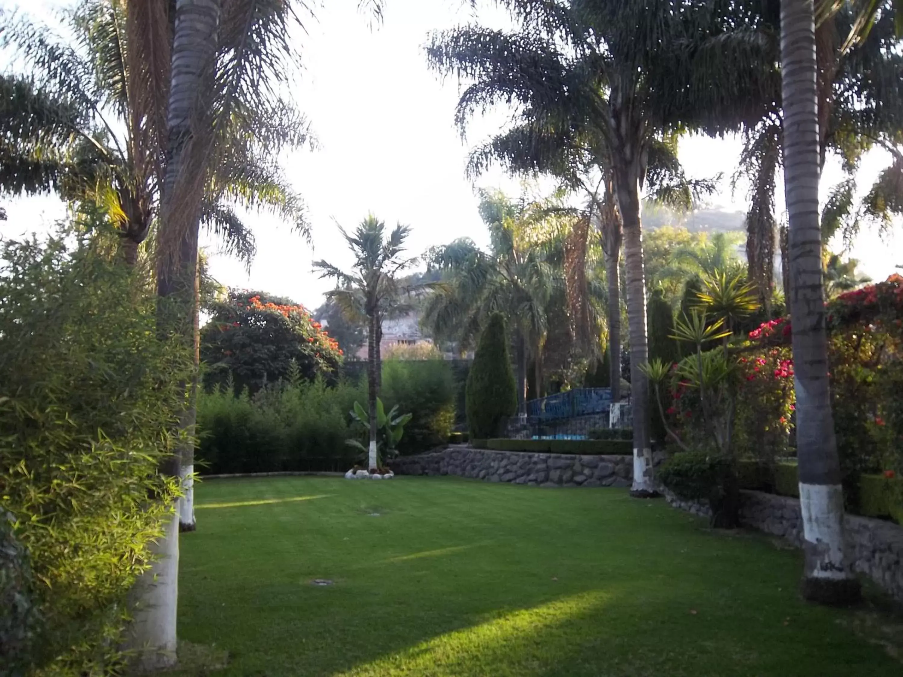 Garden in Posada Los Alcatraces