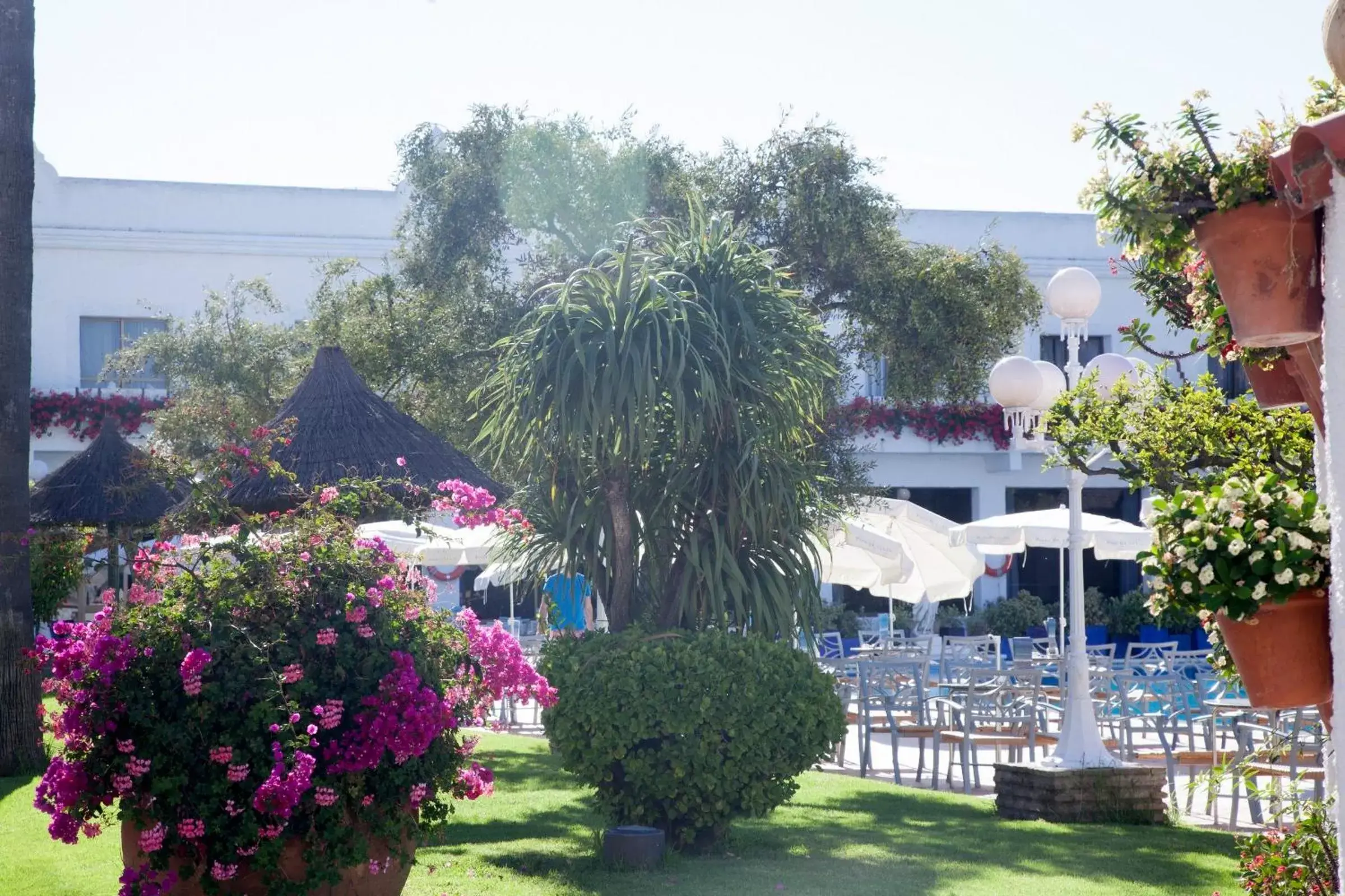 Garden, Pool View in Playa de la Luz