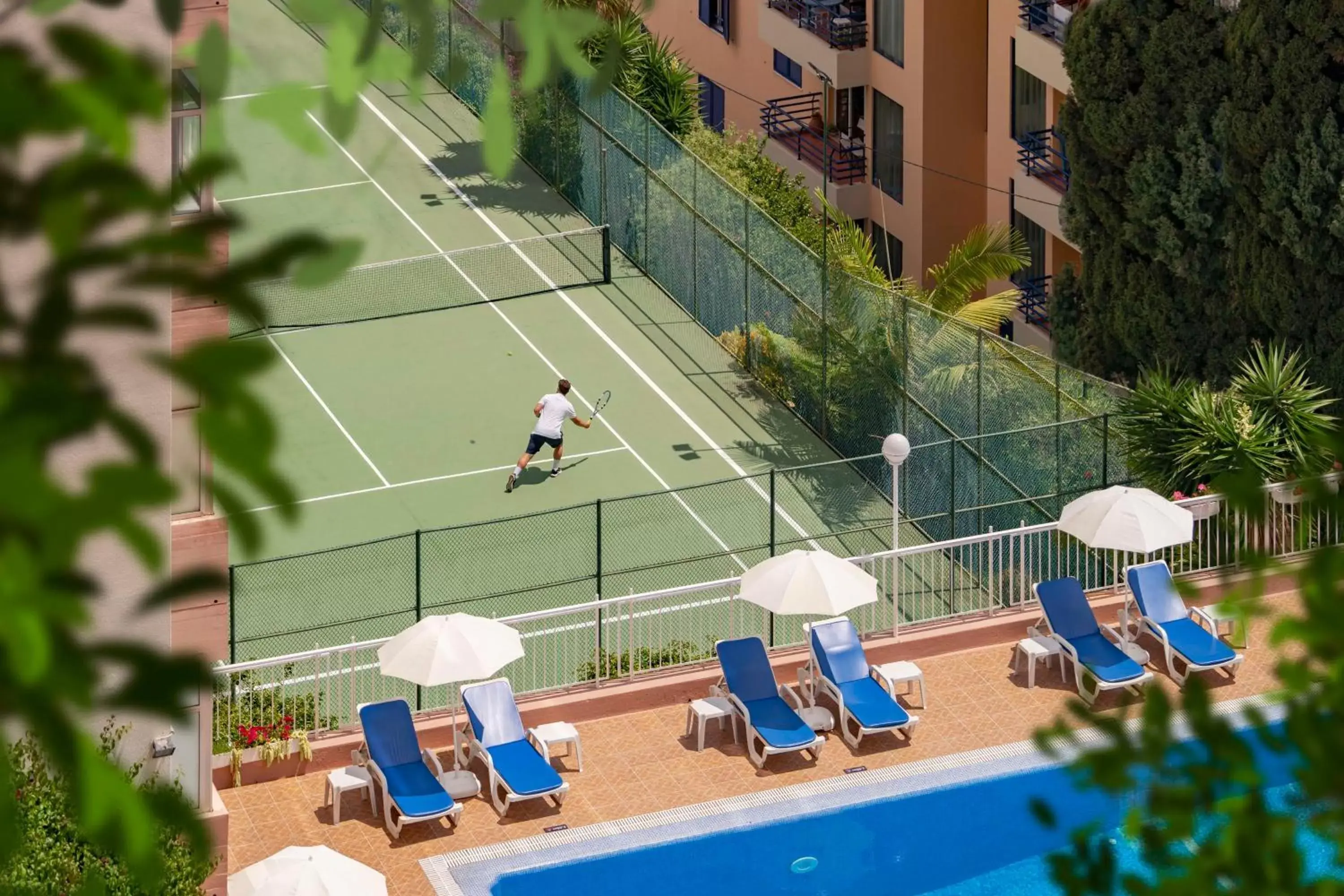 Sports, Other Activities in Estrelicia Hotel