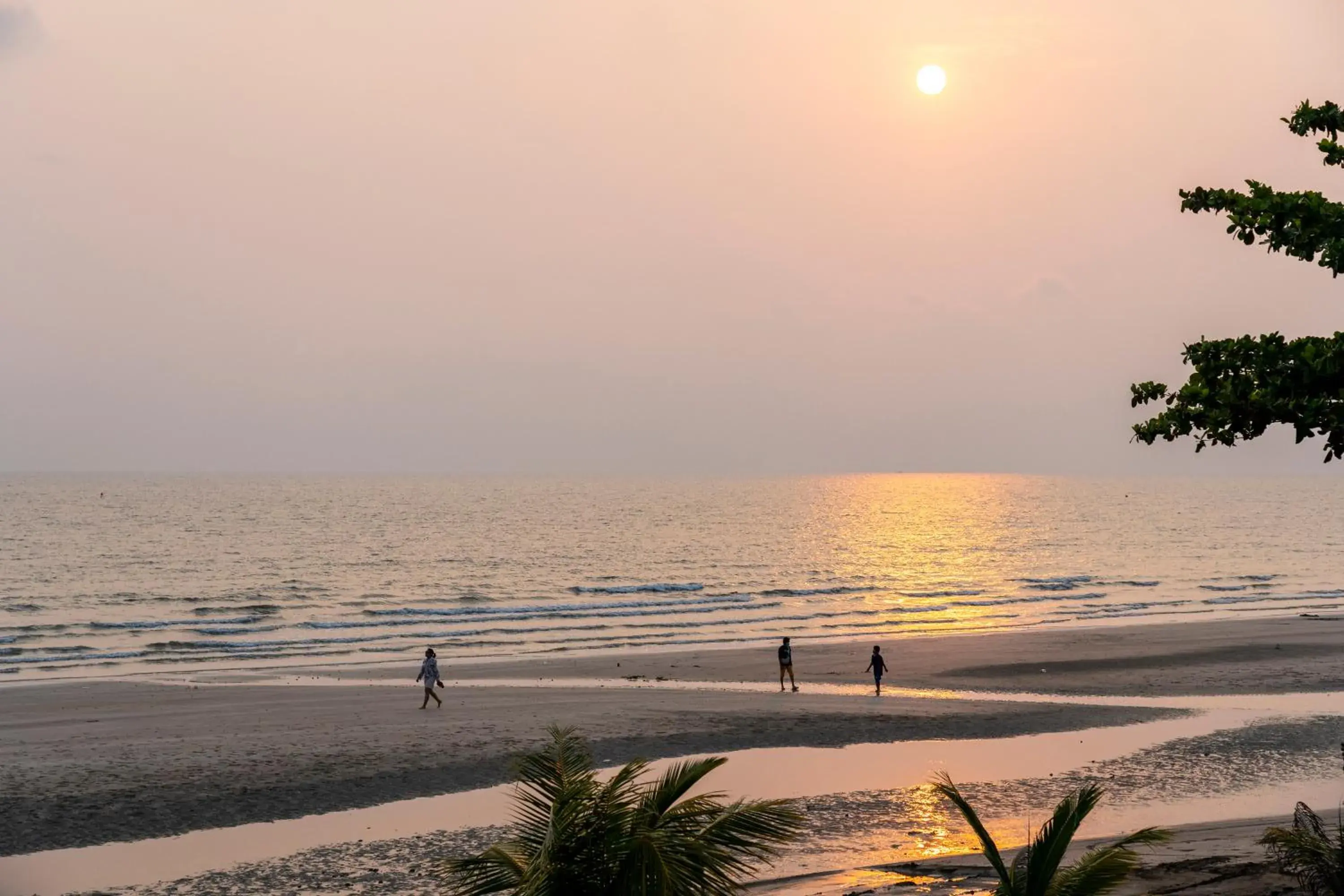 Natural landscape, Beach in Sand Dunes Chaolao Beach Resort