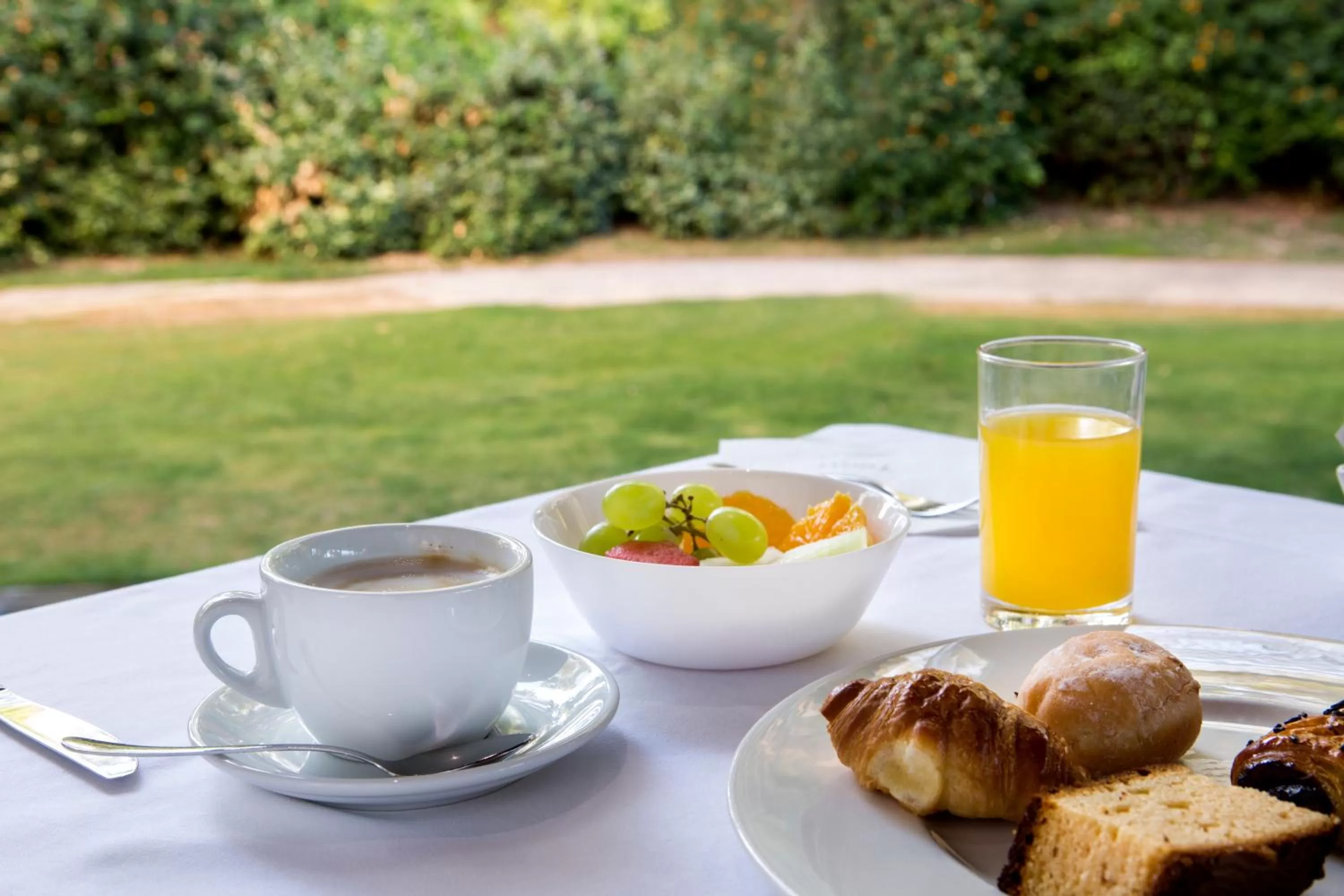 Garden in Silken Al-Andalus Palace