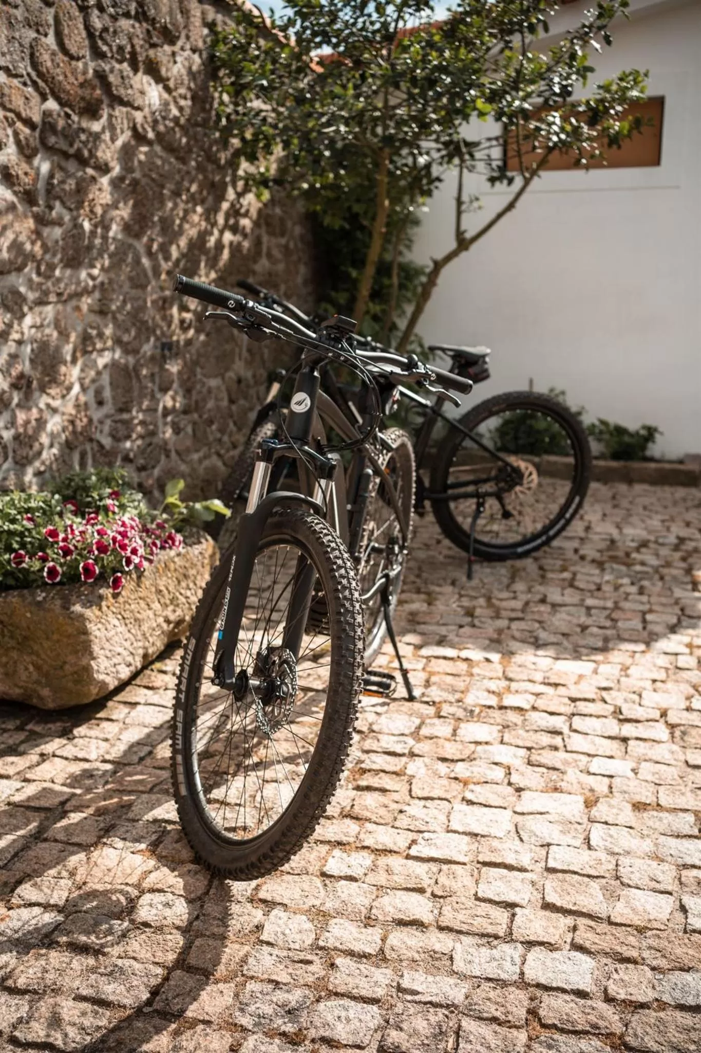 Quinta do Rio Noémi