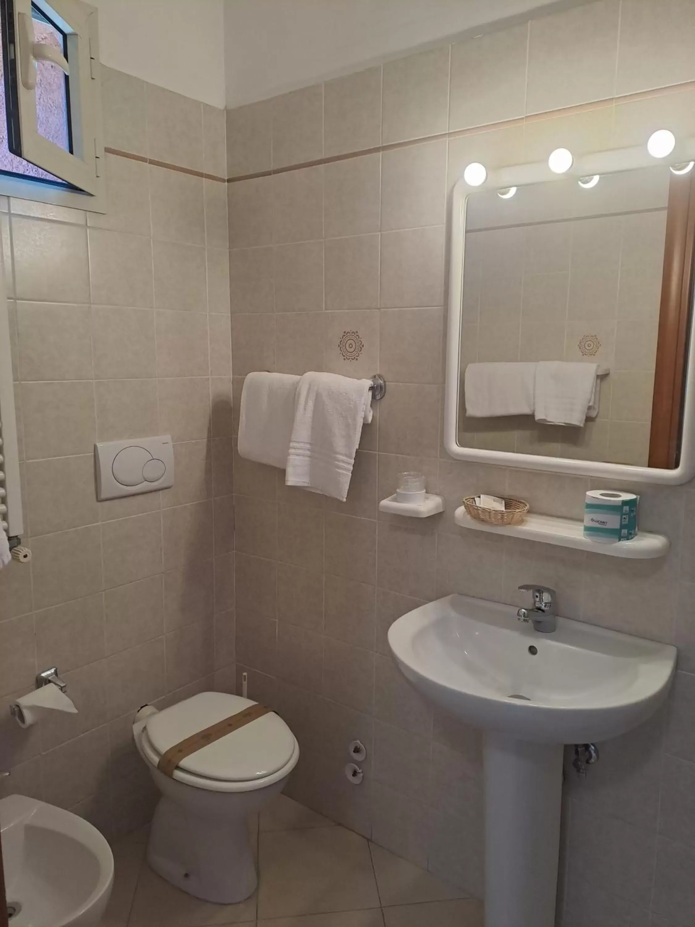 Shower, Bathroom in Hotel Villa Robinia