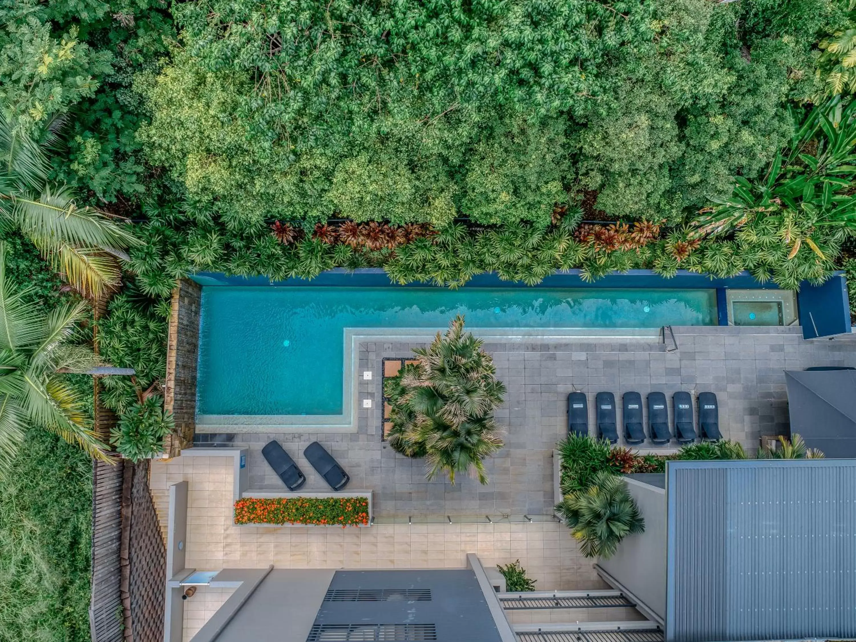 Swimming pool, Pool View in Coconut Grove