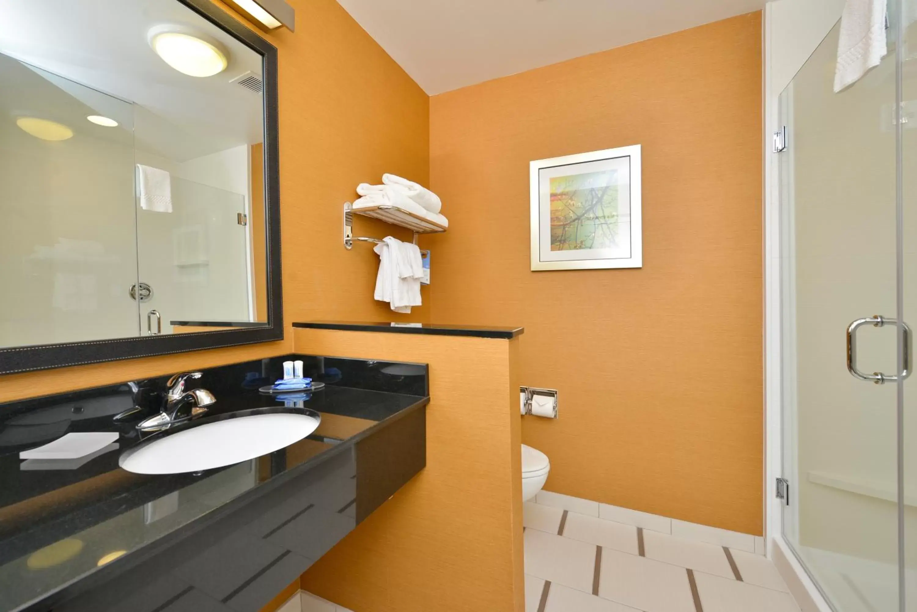 Shower, Bathroom in Fairfield Inn & Suites by Marriott Elmira Corning