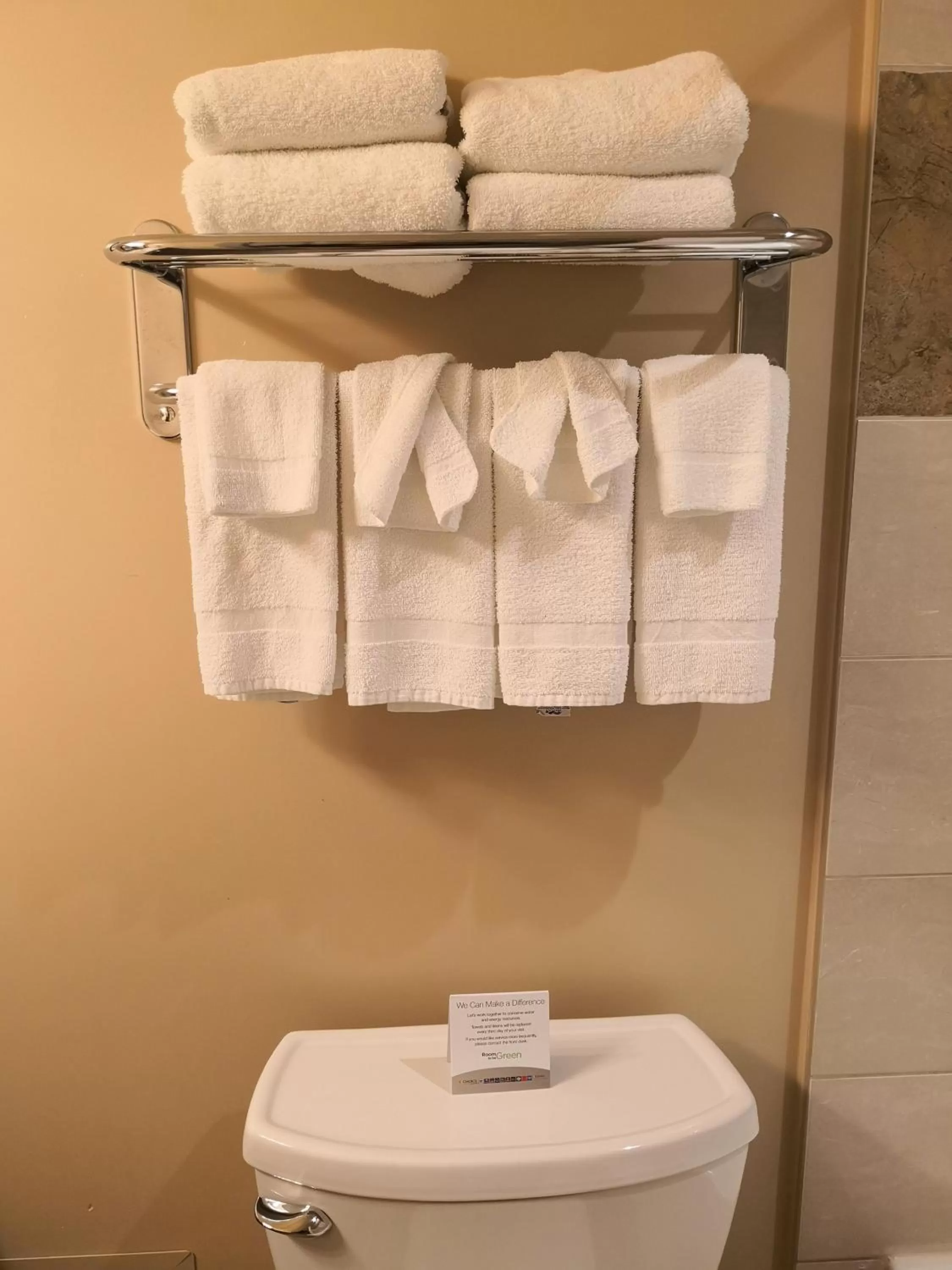 Toilet in Quality Inn & Suites