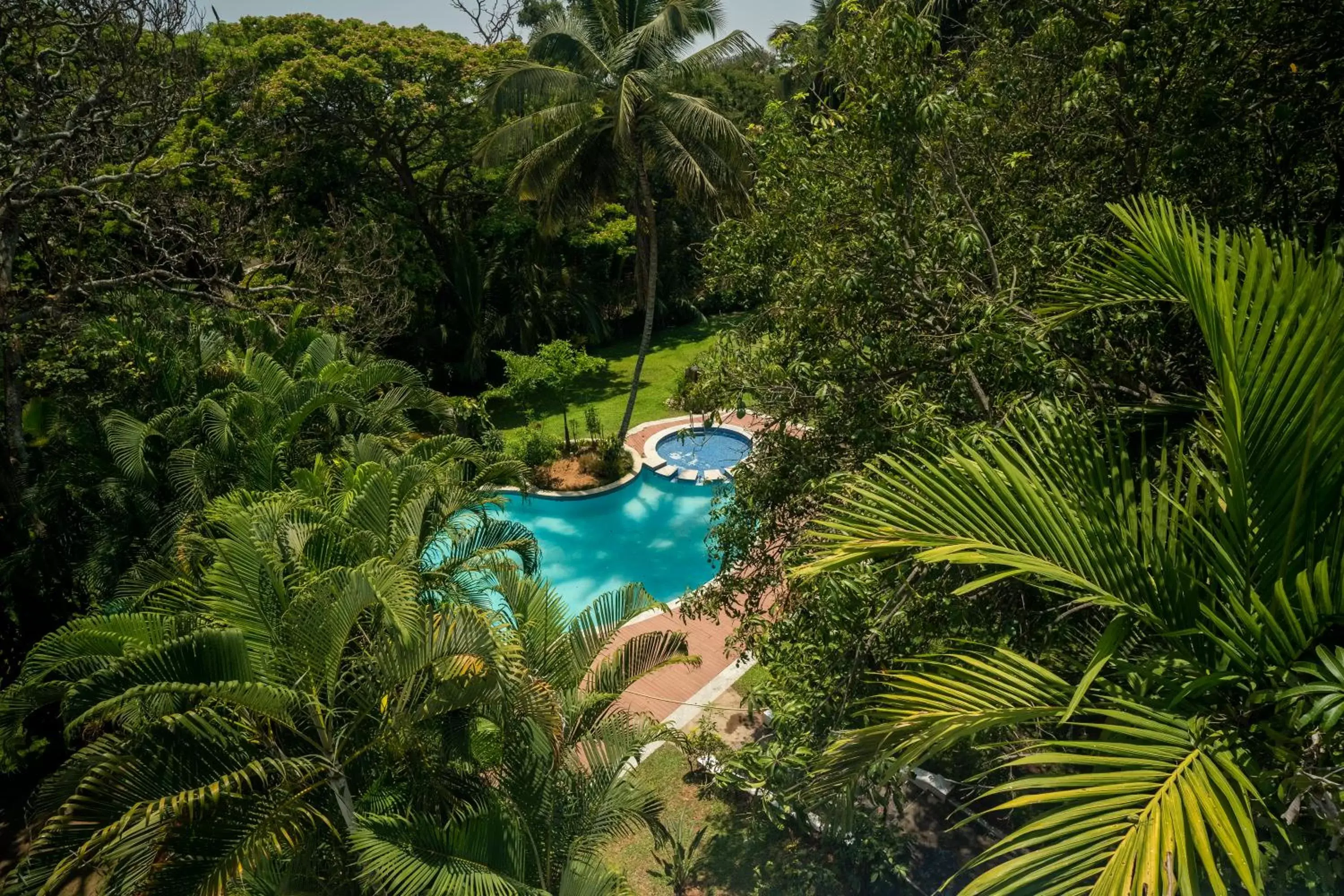 Swimming pool, Pool View in Royal Orchid Brindavan Garden Mysore