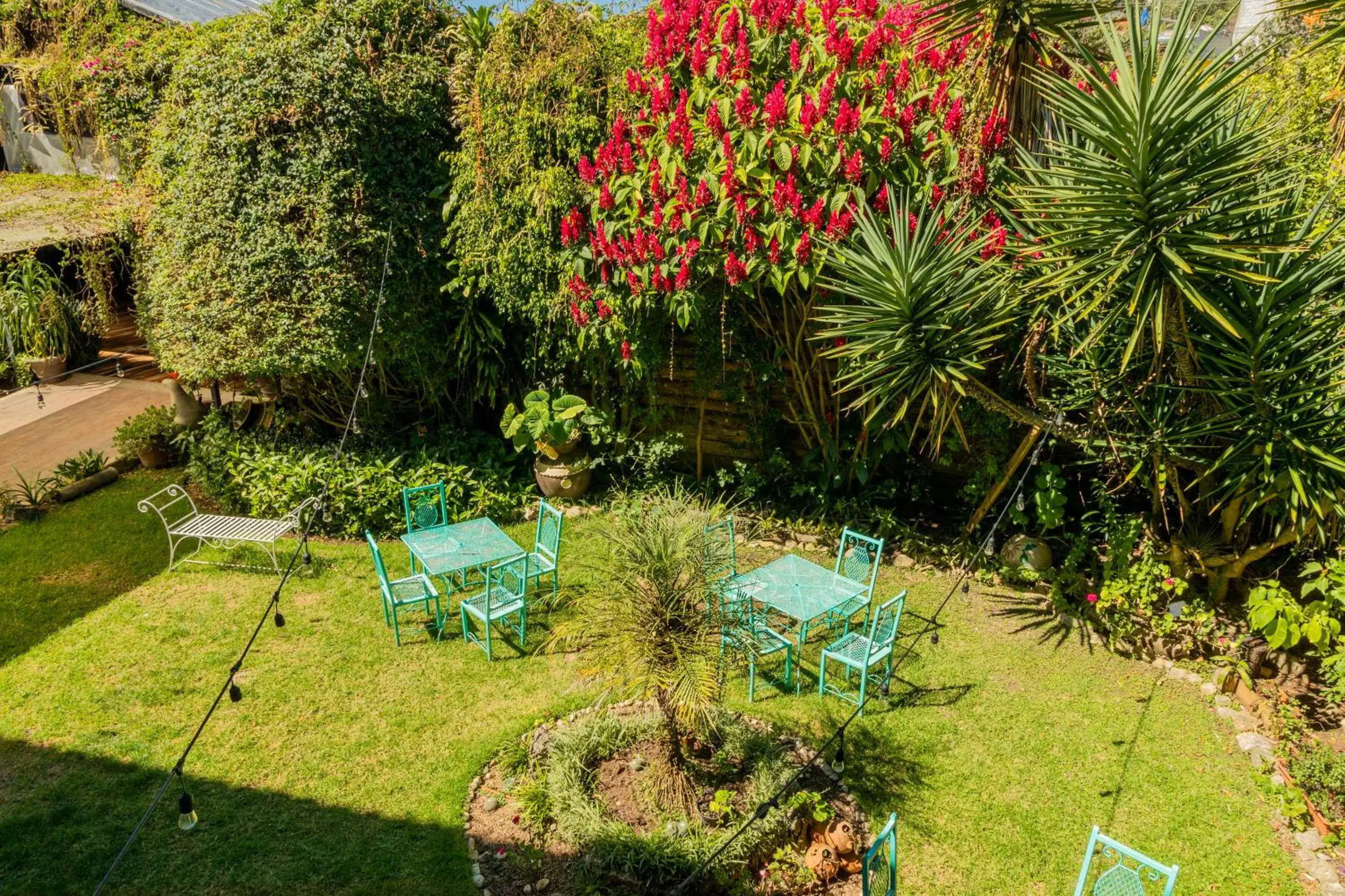 Garden in Gran Hotel El Encanto