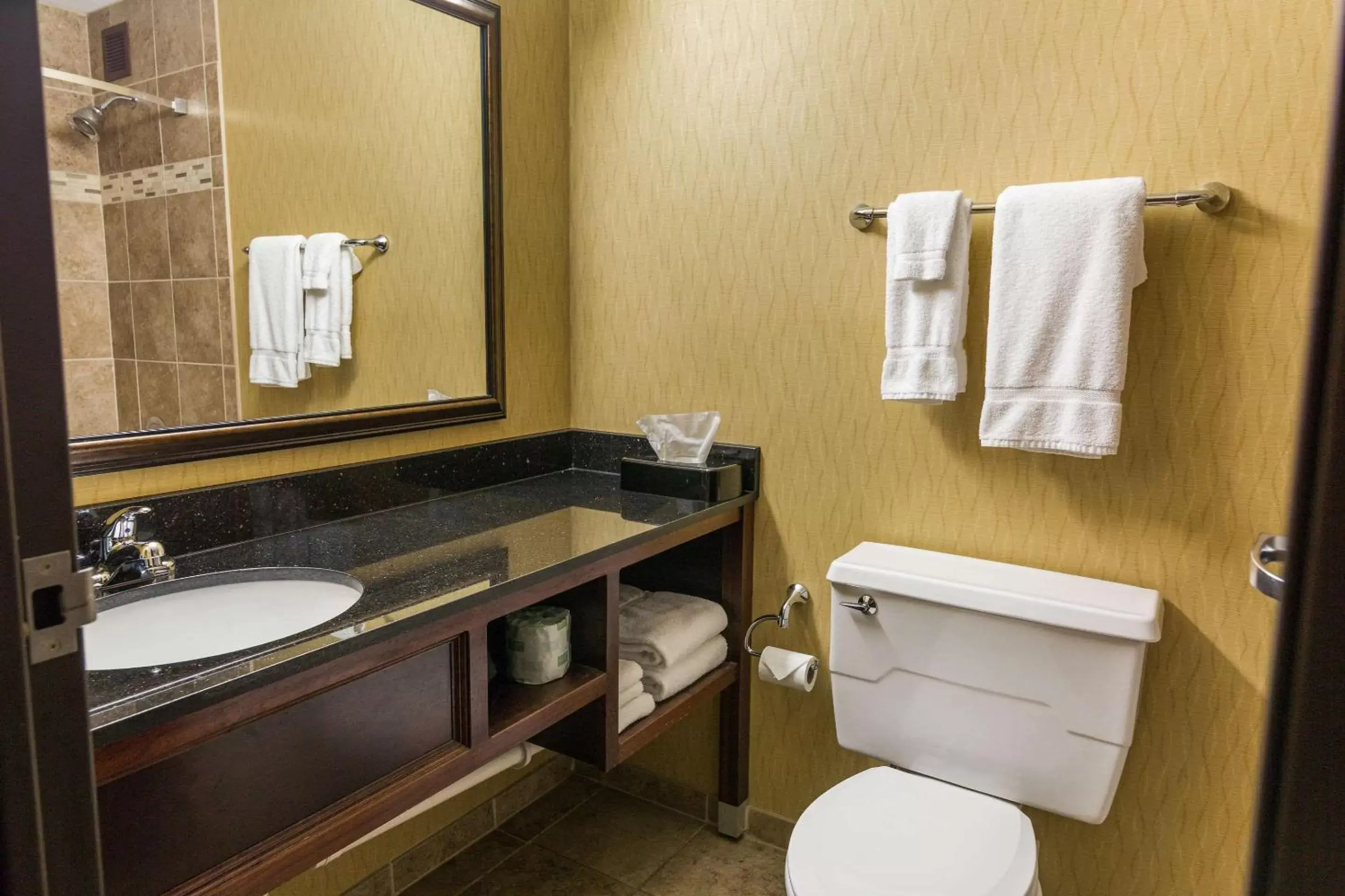 Bathroom in Clarion Hotel Convention Center