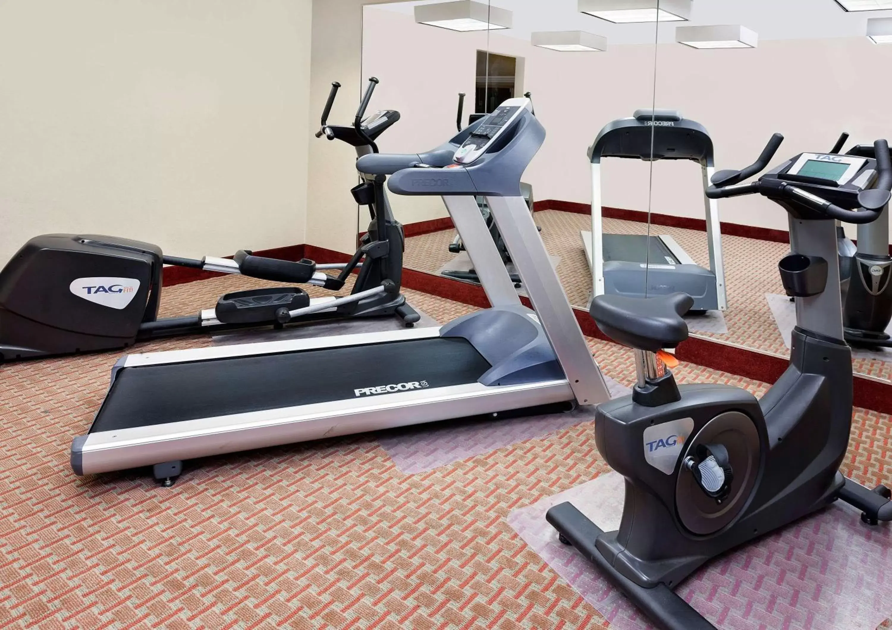 Fitness centre/facilities, Fitness Center/Facilities in Baymont by Wyndham St. Joseph/Stevensville