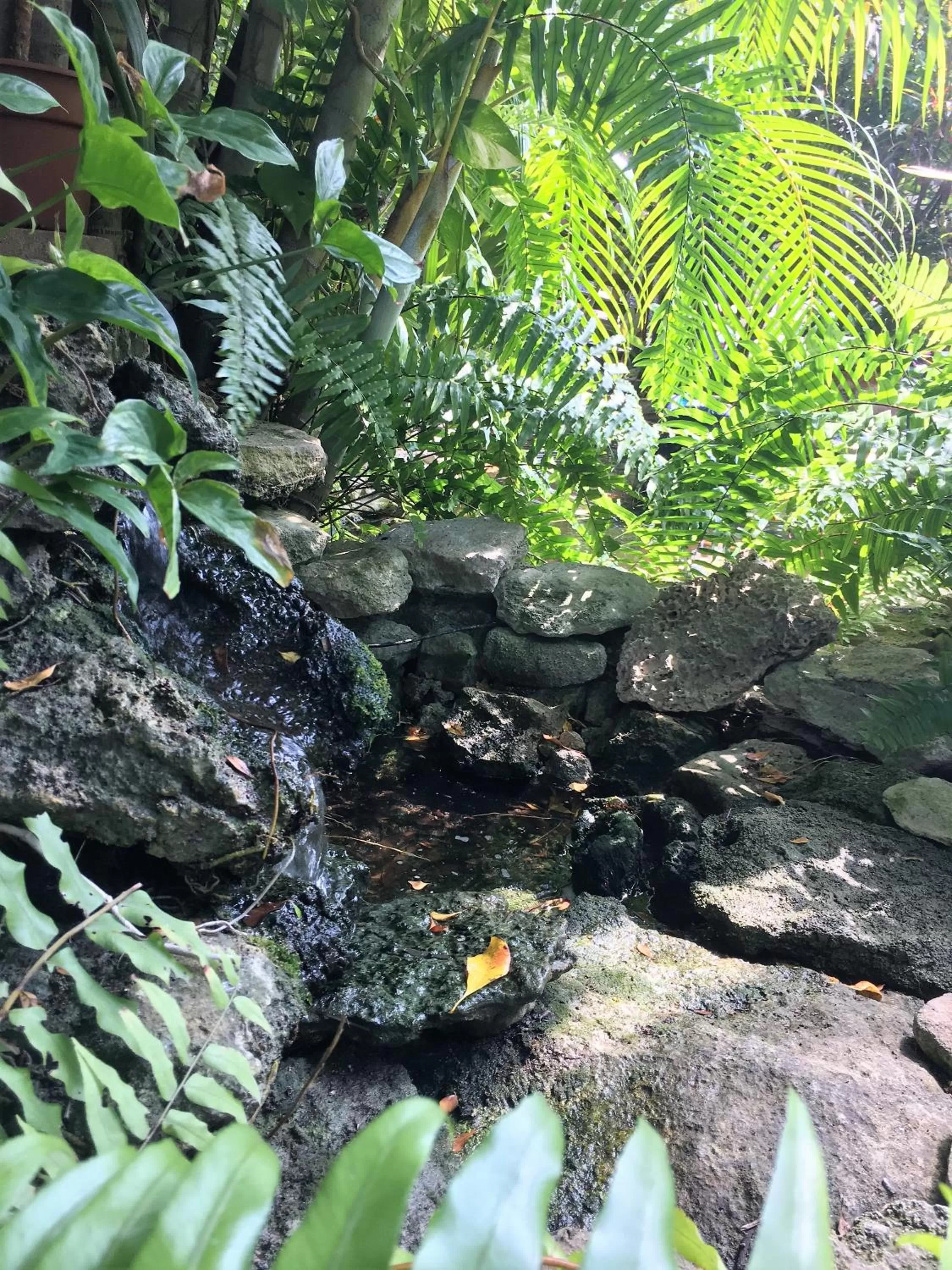 Garden in Douglas House