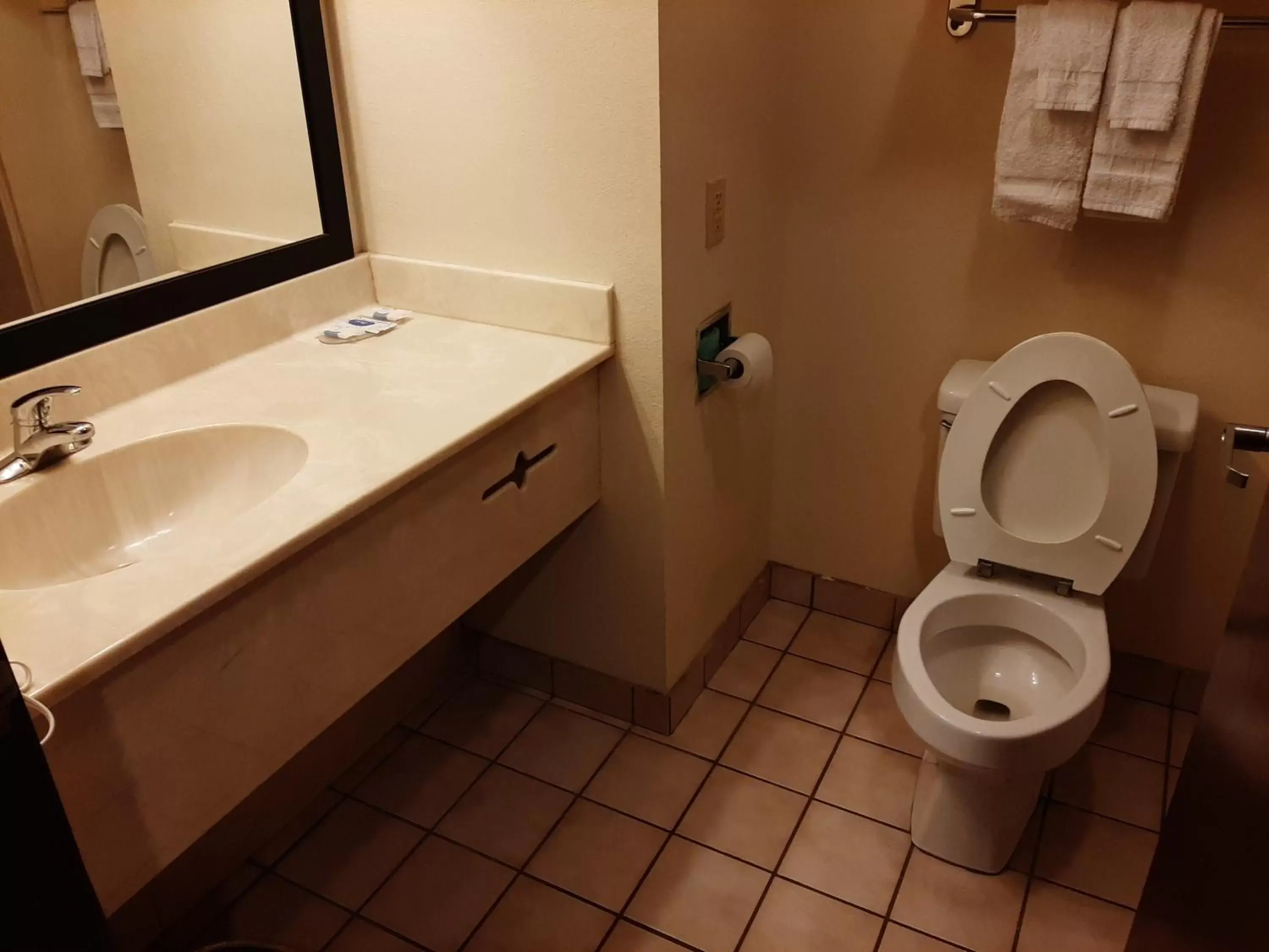 Toilet, Bathroom in The Regal Hotel