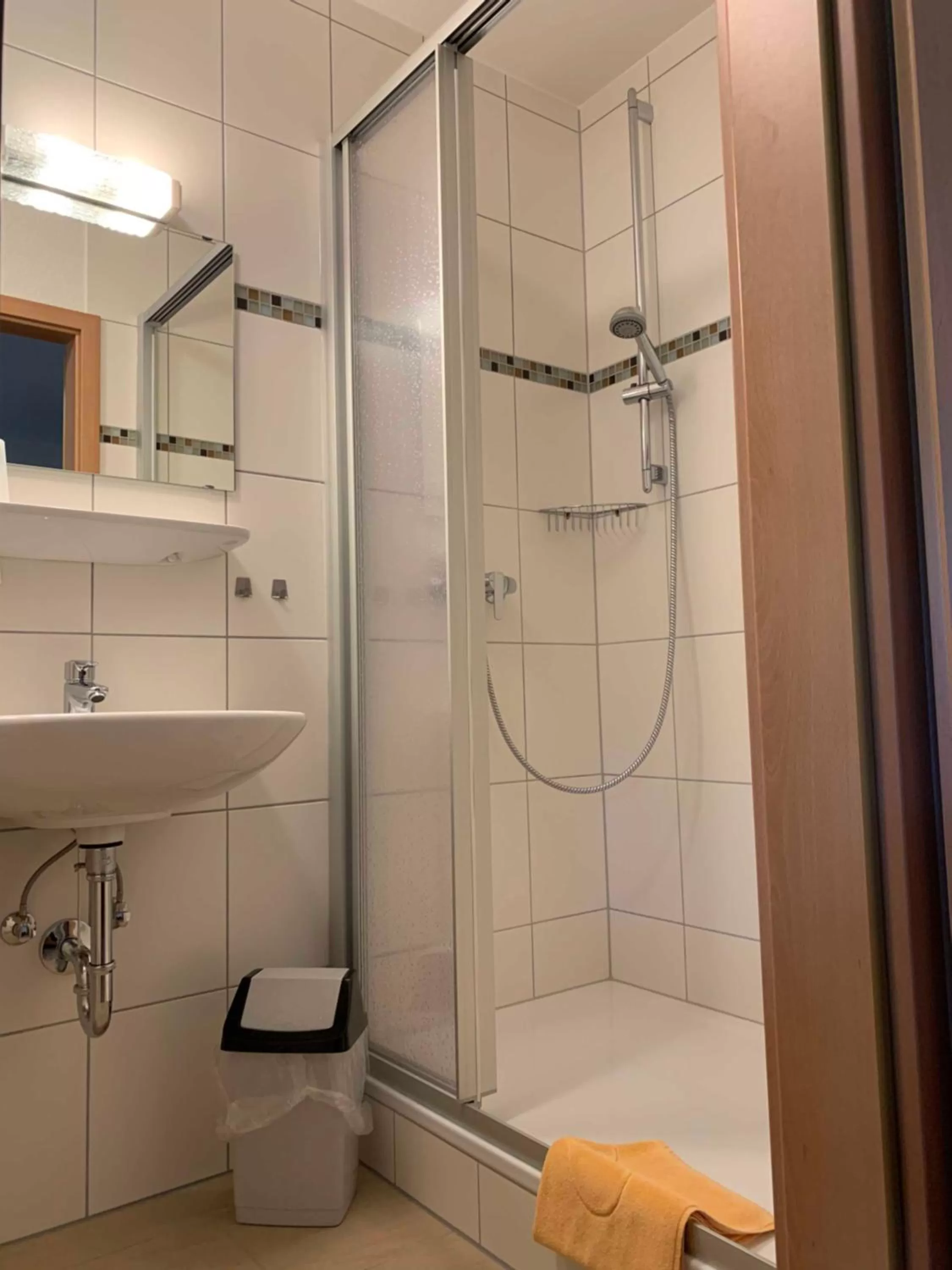 Shower in Gasthaus & Pension Zum Fürstengrund