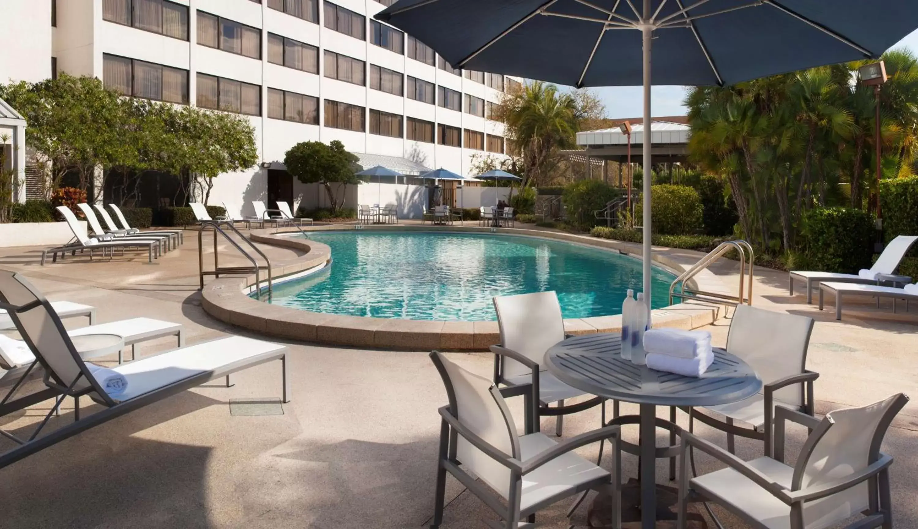 Pool view, Swimming Pool in Hilton Tampa Airport Westshore