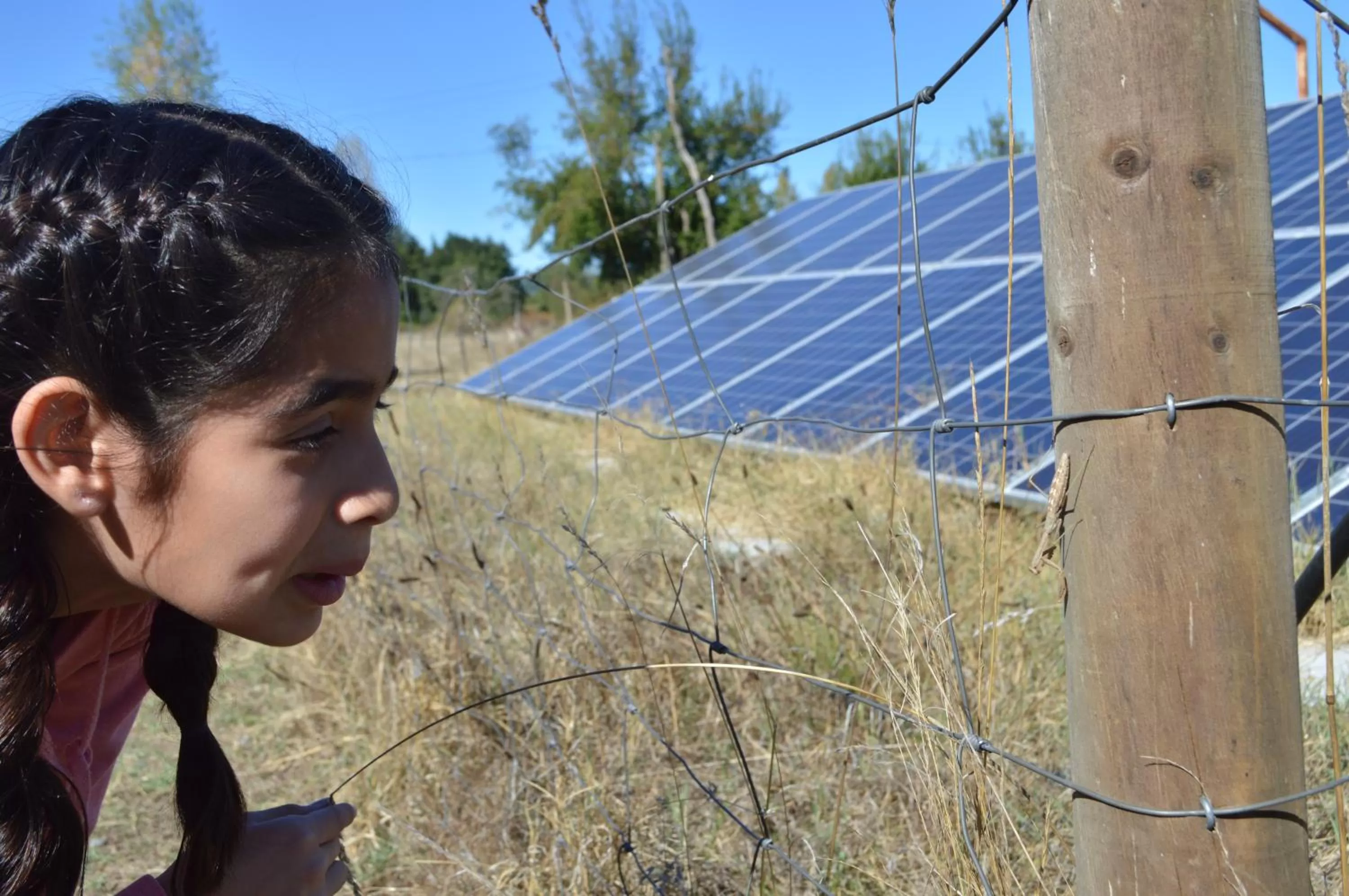 Coyunche Cabañas y Camping Laja & San Rosendo