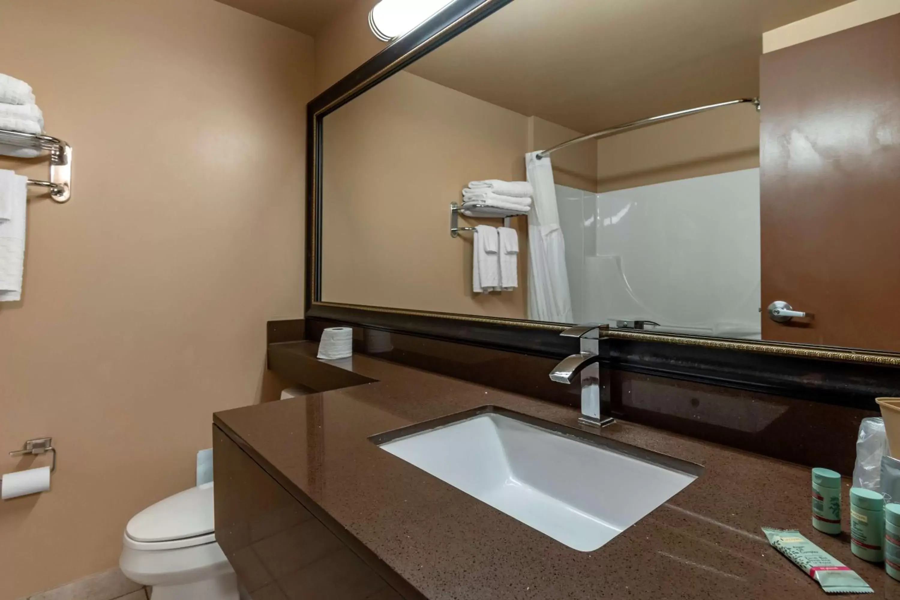 Bathroom in Best Western Marquis Inn & Suites