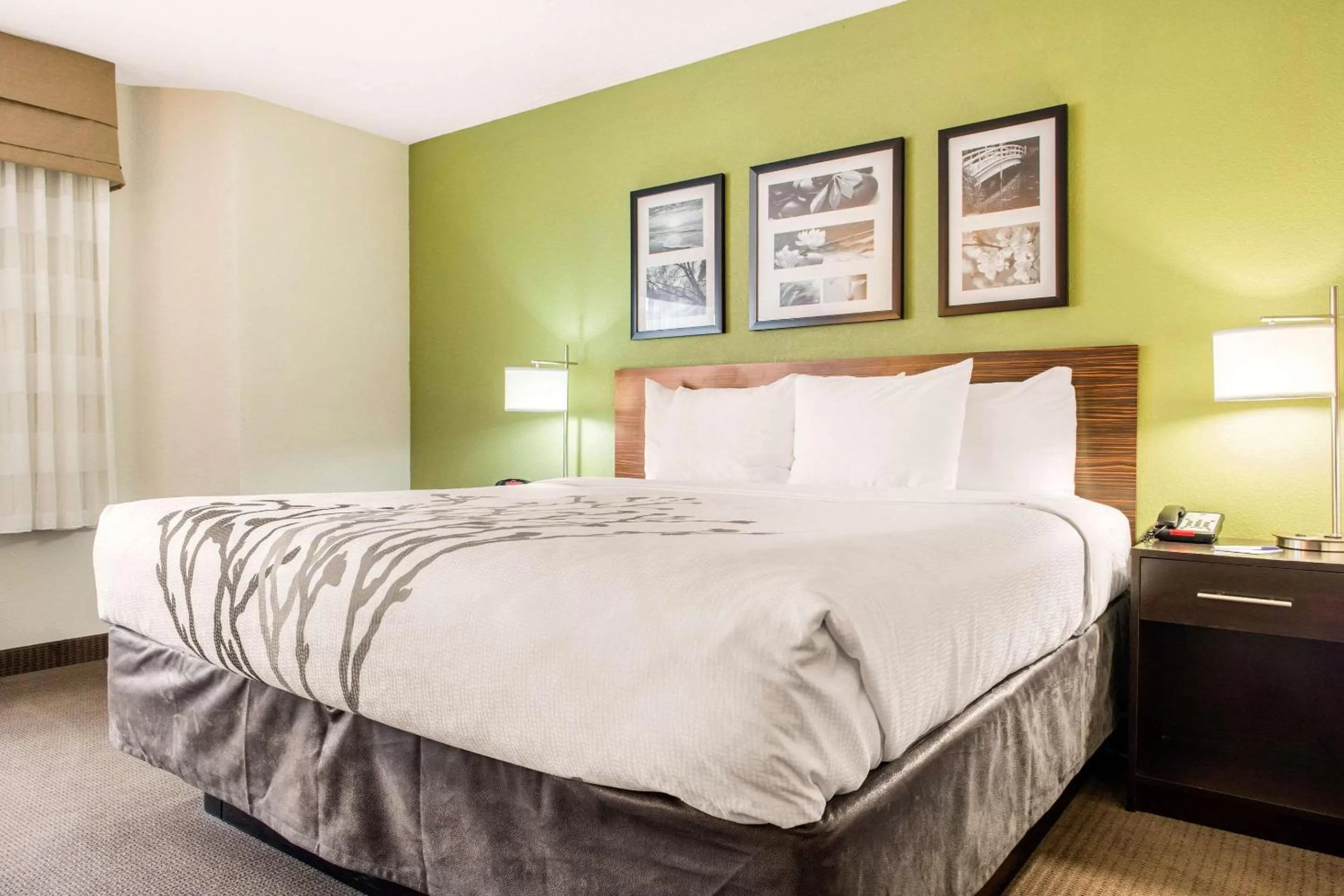 Photo of the whole room, Bed in Sleep Inn & Suites Columbus South