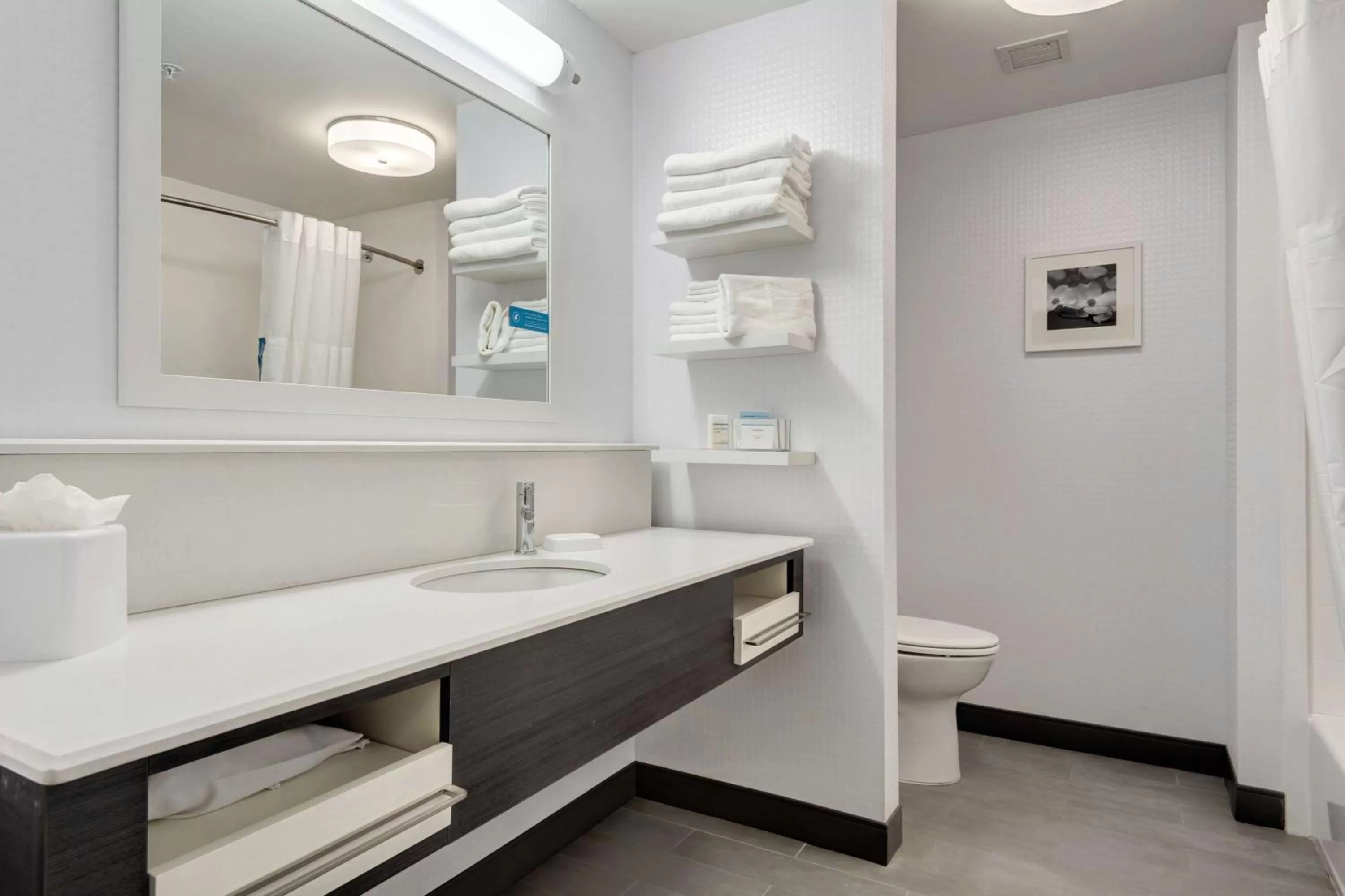 King Room with Sofa Bed - Non-Smoking in Hampton Inn-St. Louis Wentzville, MO