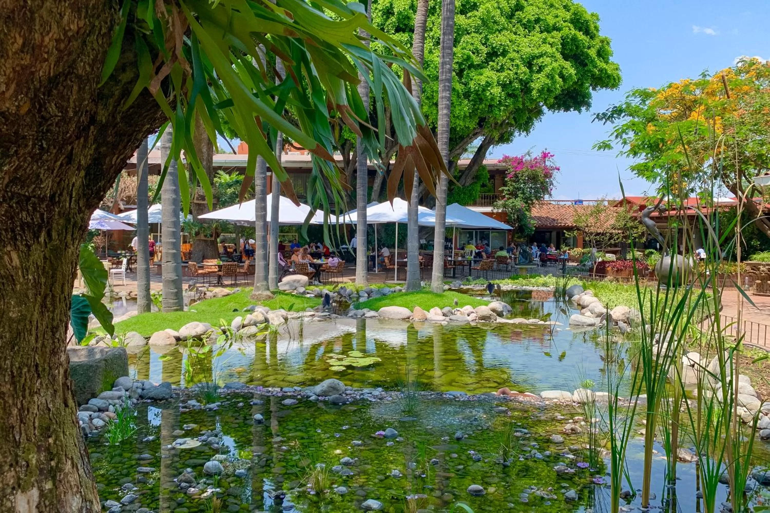 Garden in Hosteria Las Quintas Hotel Restaurante Bar