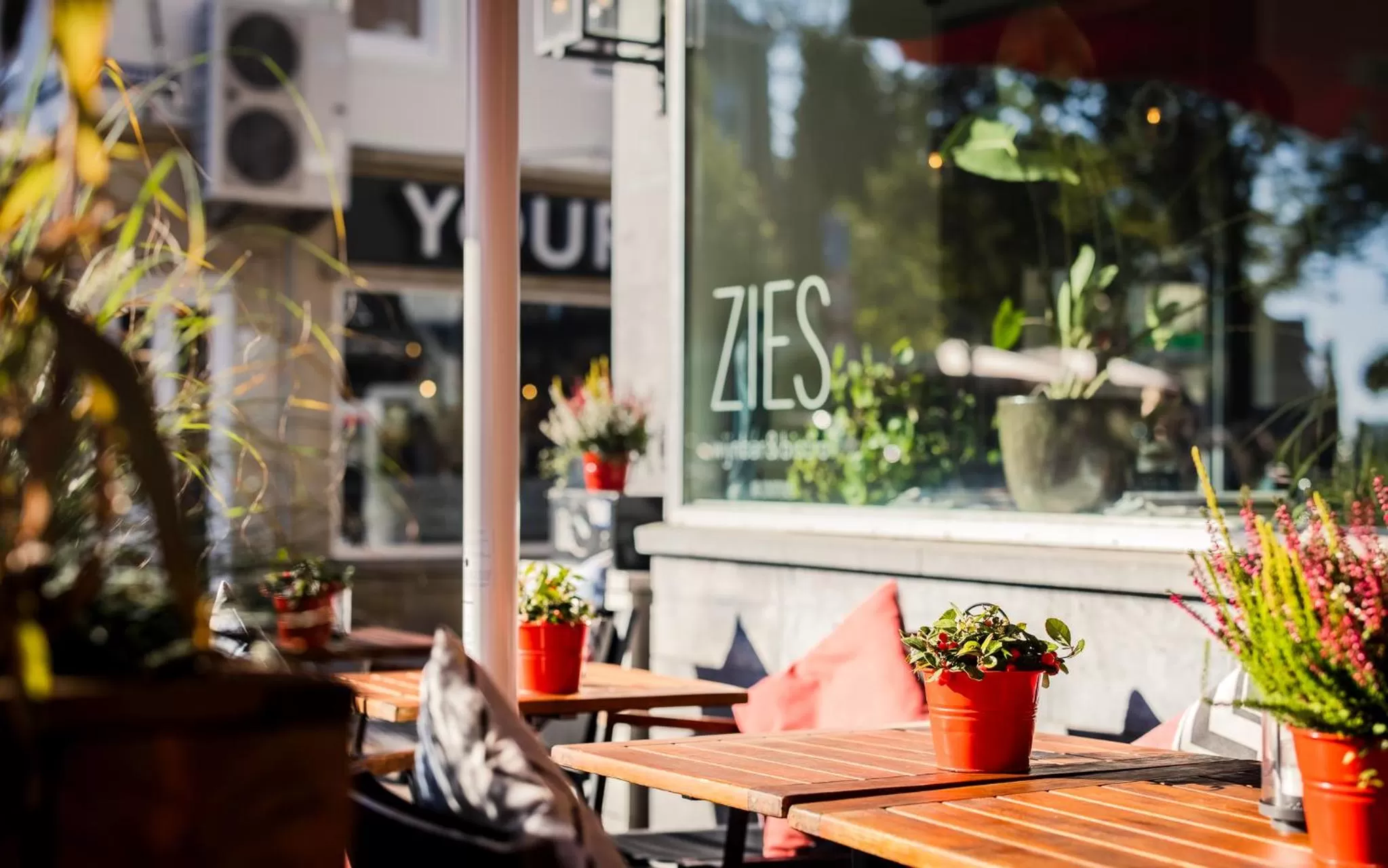 Restaurant/Places to Eat in Boutique Hotel ZIES