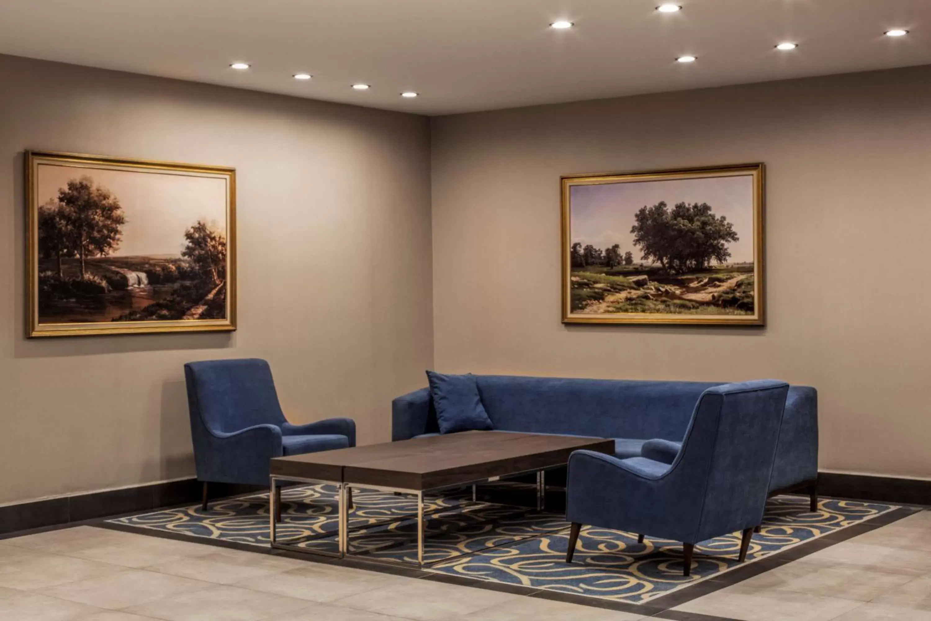 Seating Area in Radisson Blu Hotel, Diyarbakir