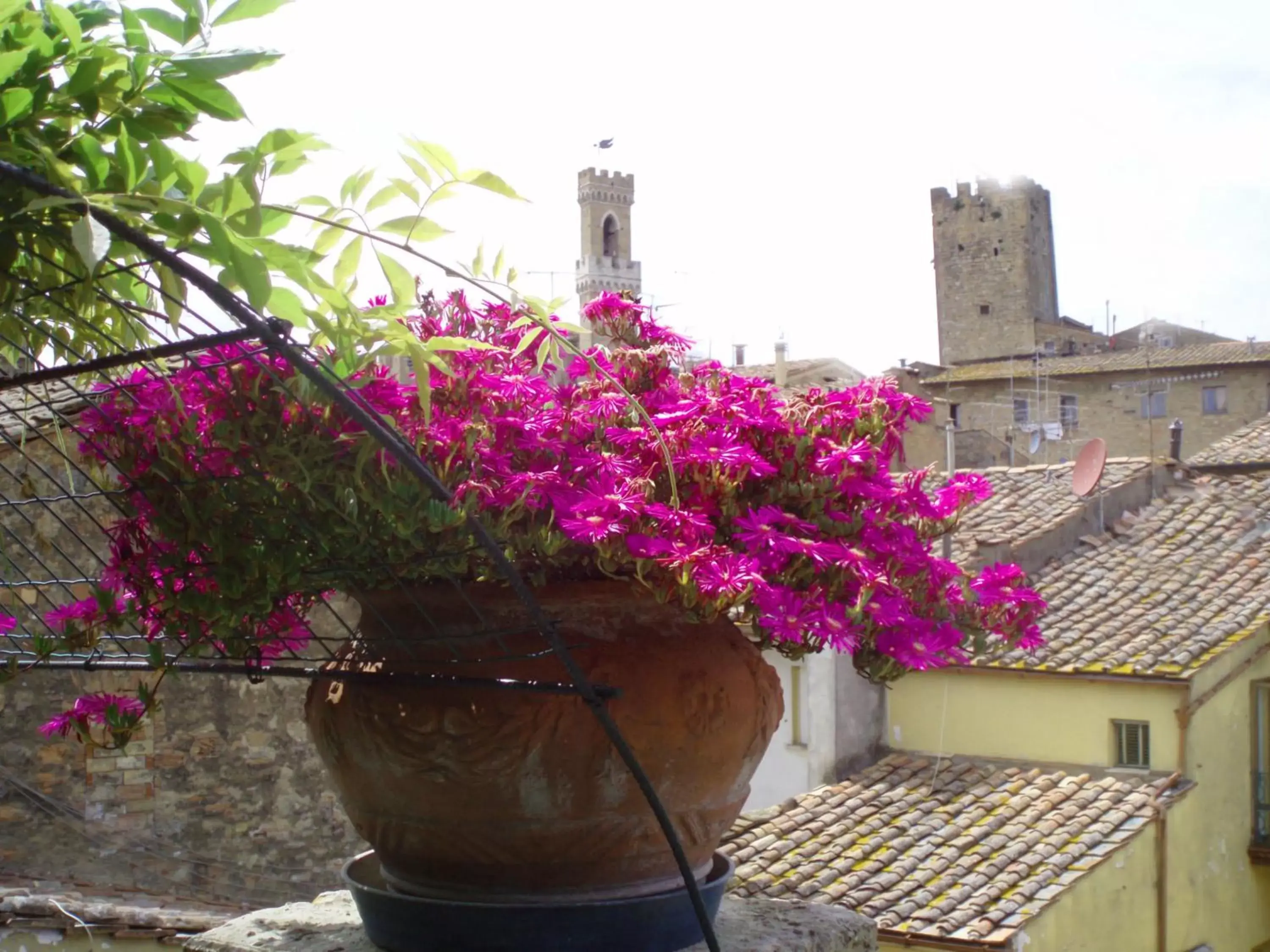 View (from property/room), Balcony/Terrace in Albergo Etruria