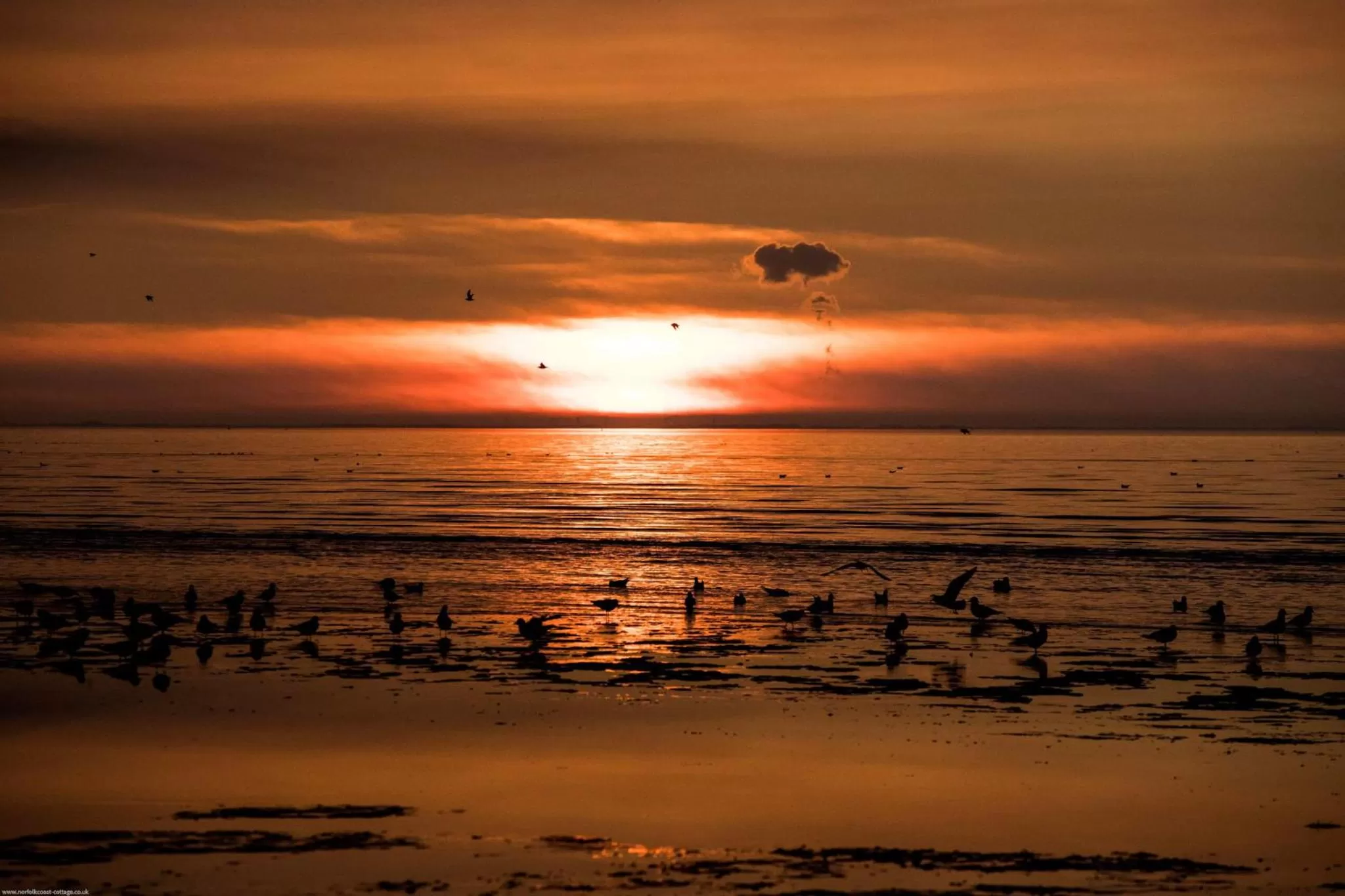 Beach in Norfolk Accommodation