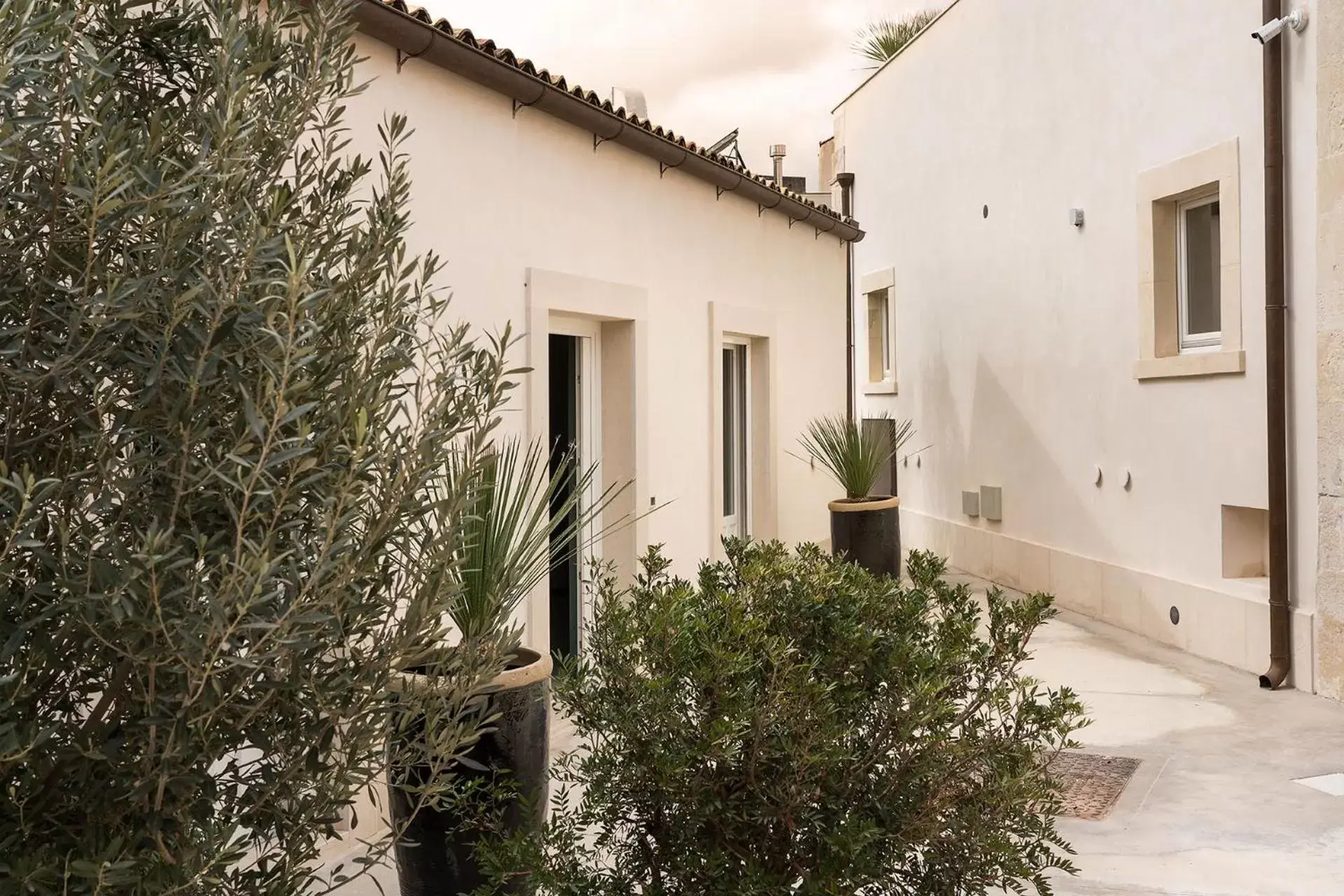 Patio, Property Building in Byssus Suites