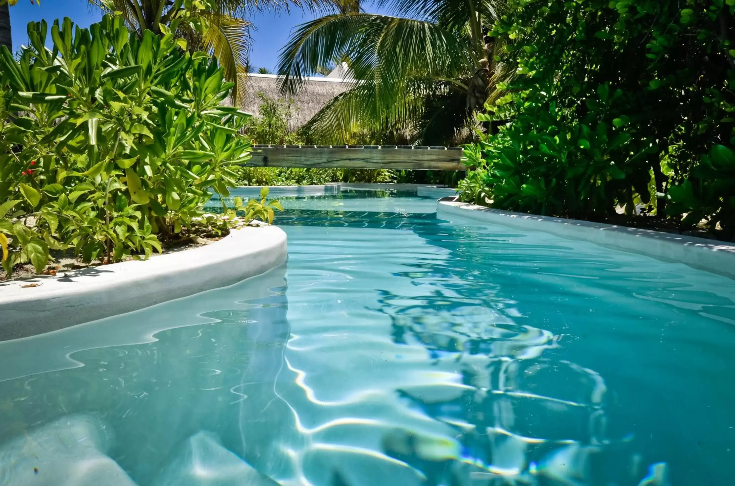 Swimming Pool in The Beach Tulum