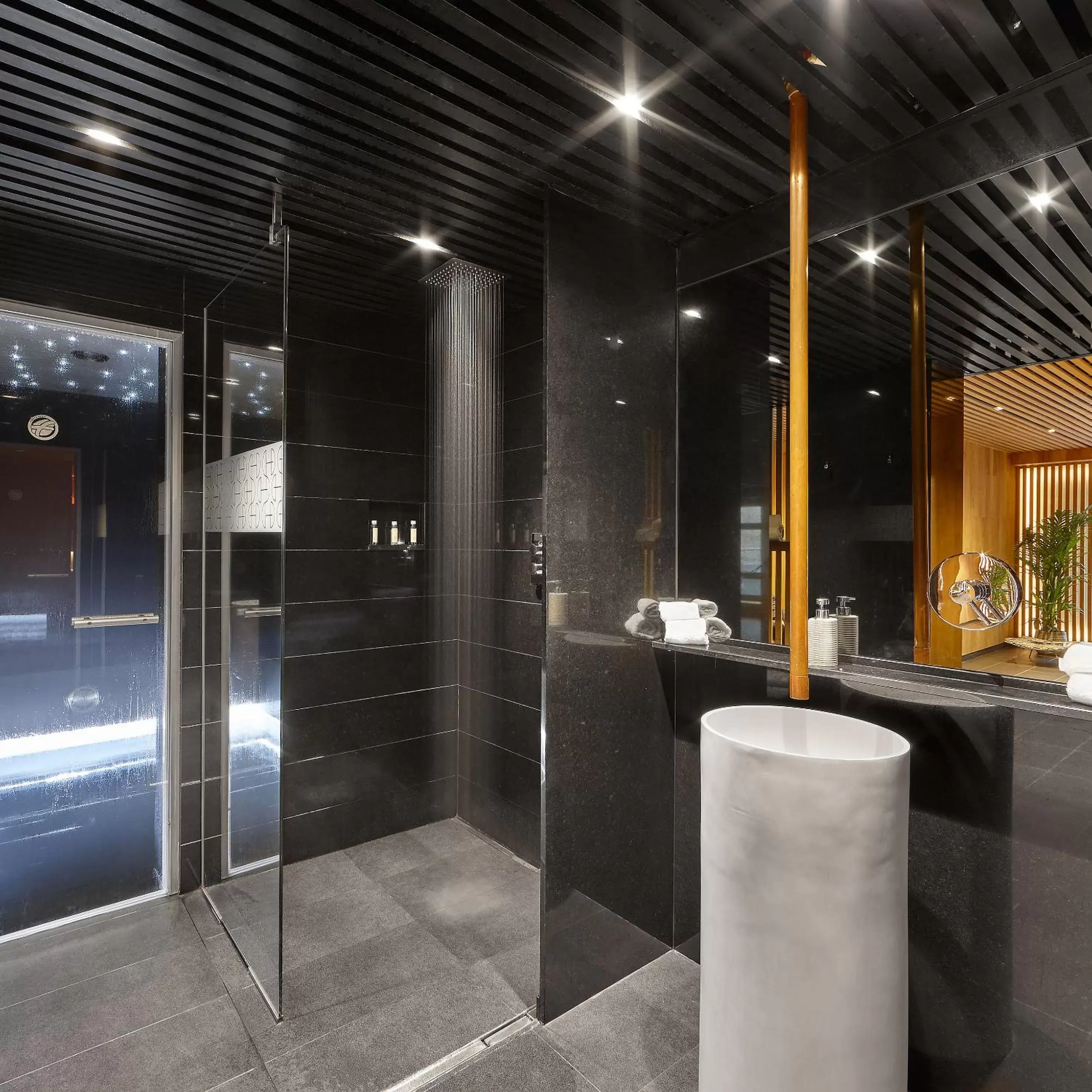 Steam room, Bathroom in Gran Hotel Domine Bilbao