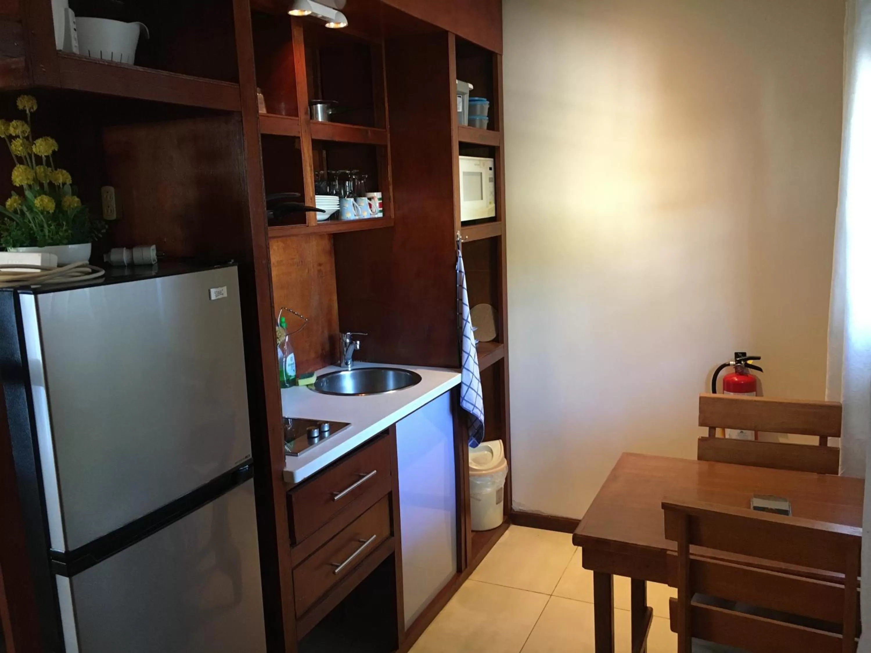 Kitchen or kitchenette, Kitchen/Kitchenette in Asteria Studios