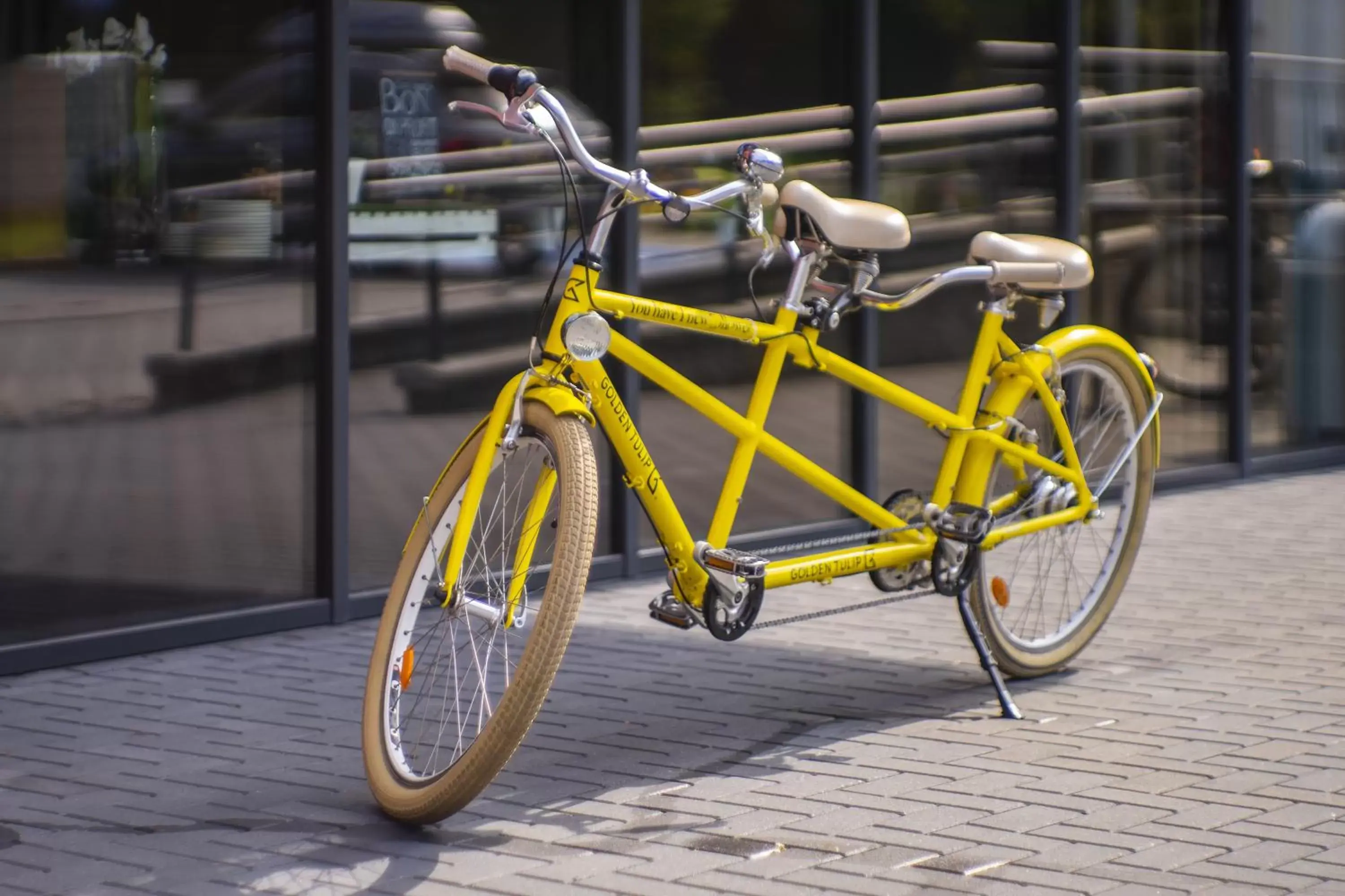Cycling, Biking in Golden Tulip Gdańsk Residence