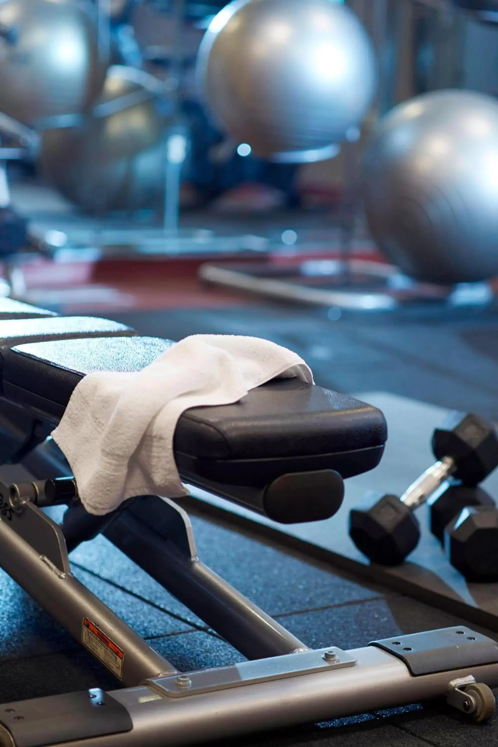 Fitness centre/facilities, Fitness Center/Facilities in Chicago Marriott Northwest