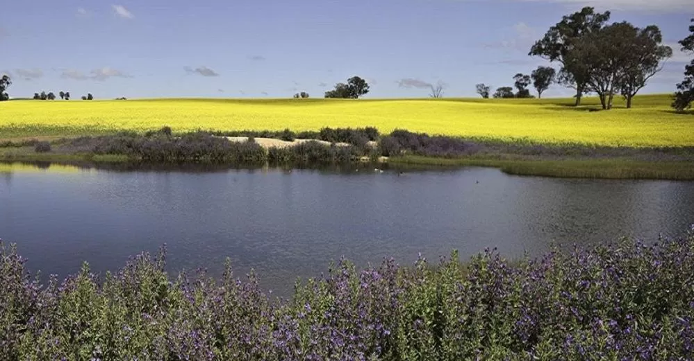 Day in Cootamundra Gardens Motel
