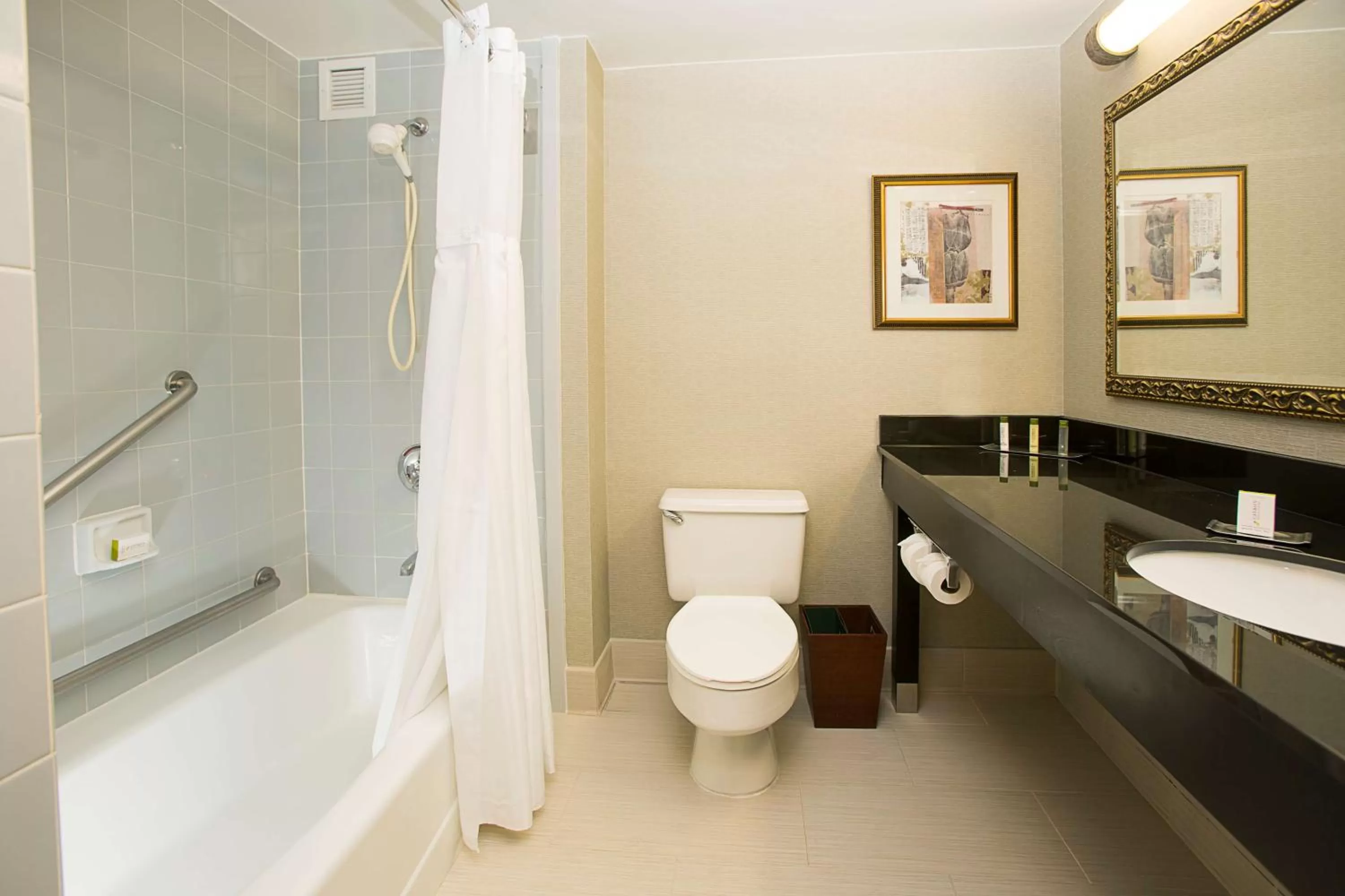 Bathroom in DoubleTree by Hilton Hotel Detroit Novi