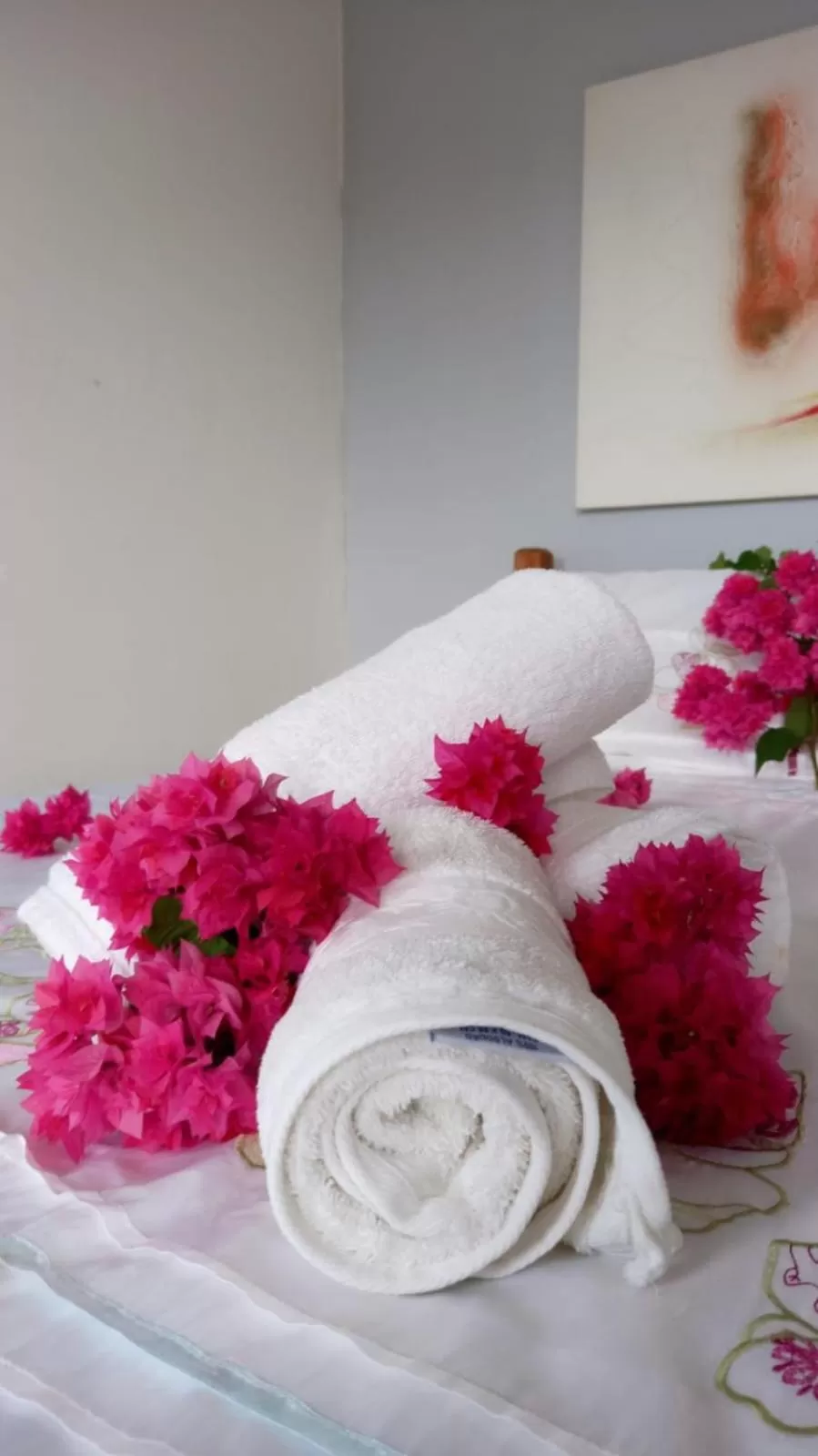 Pousada Recanto Das Emerências