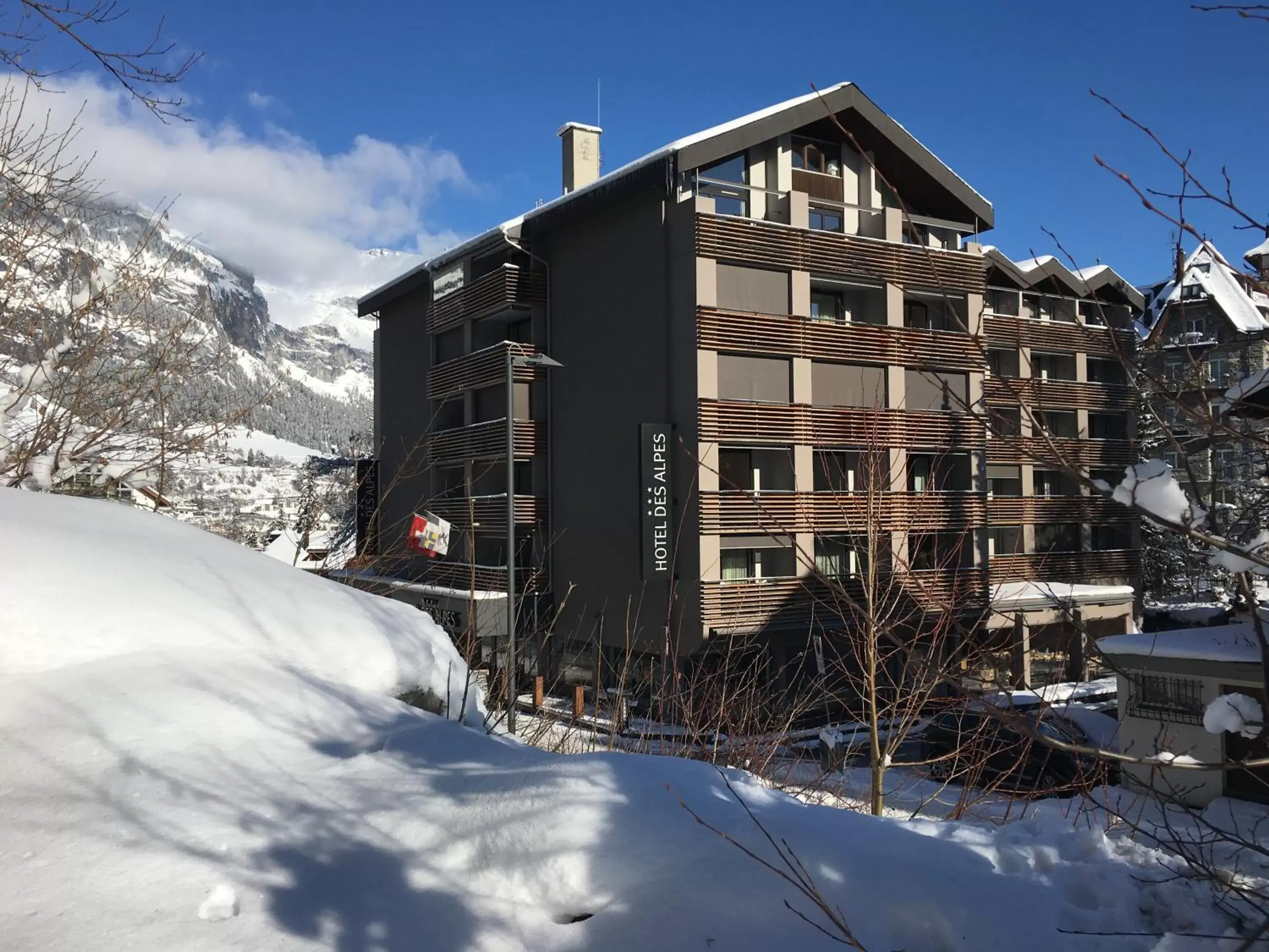 Property building, Winter in Hotel des Alpes