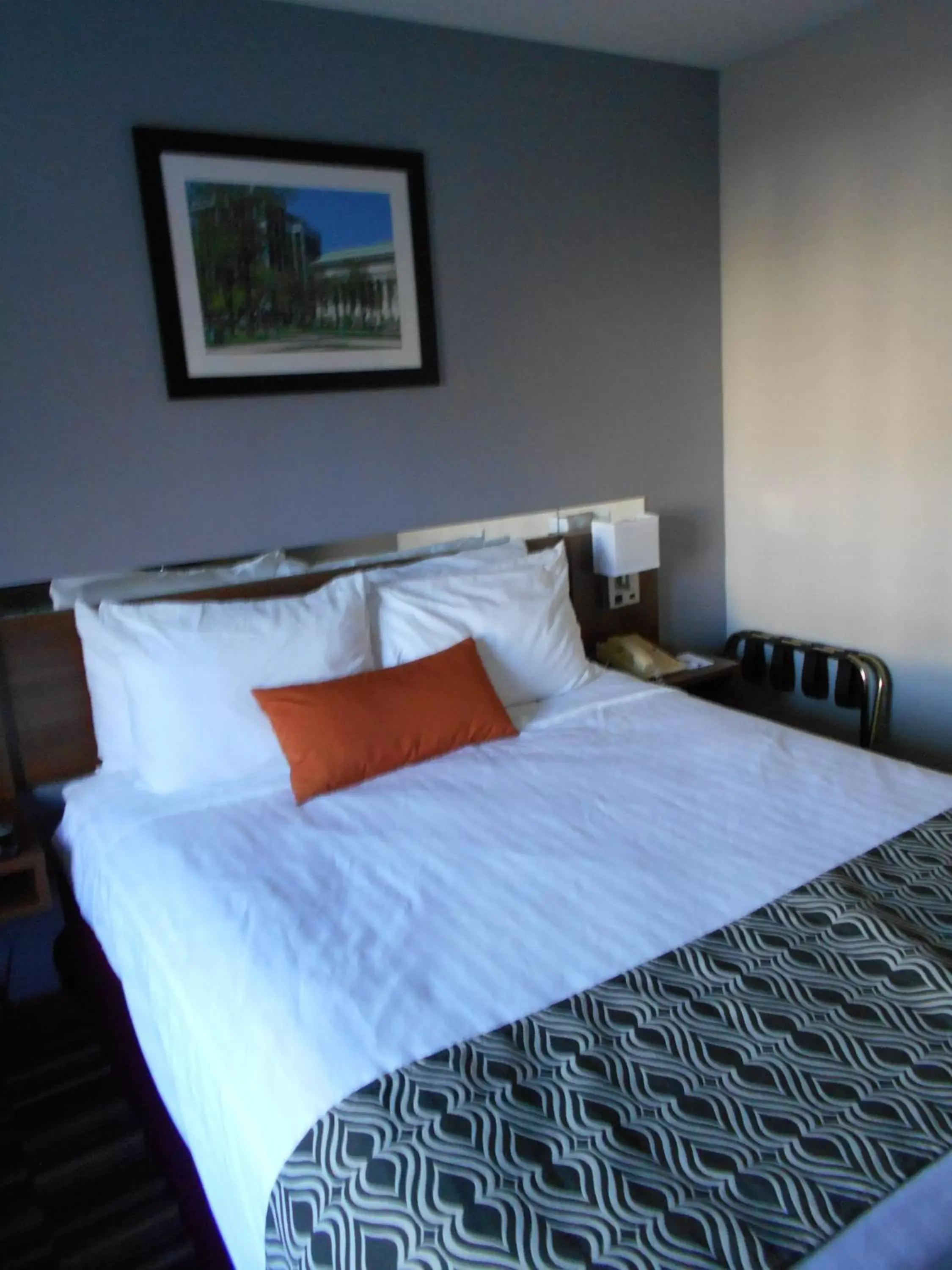 Decorative detail, Bed in Microtel Inn by Wyndham - Albany Airport