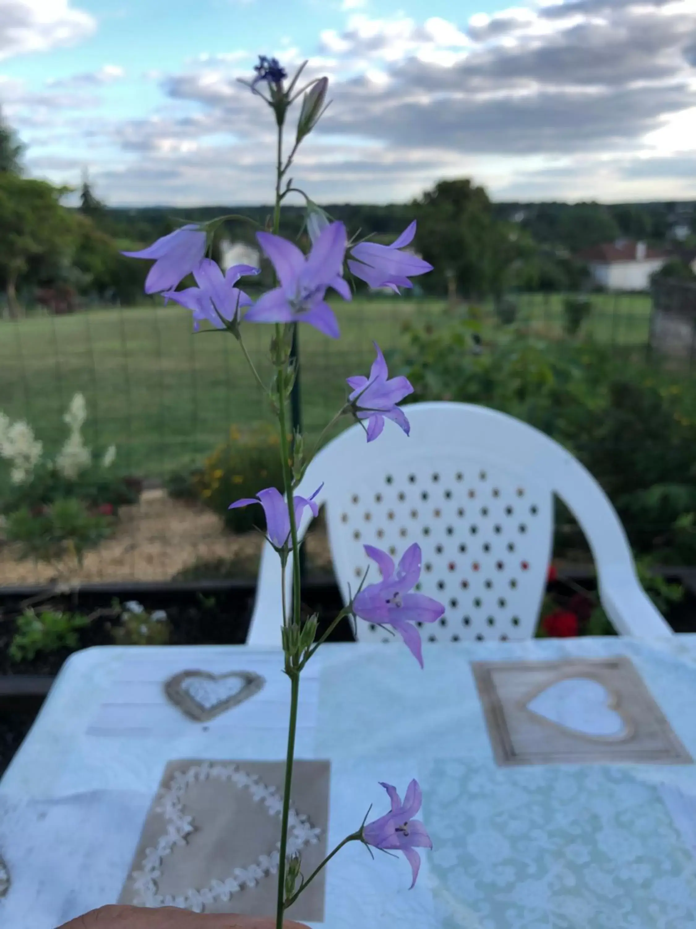 View (from property/room) in The Walnut Tree Chambre d'Hotes