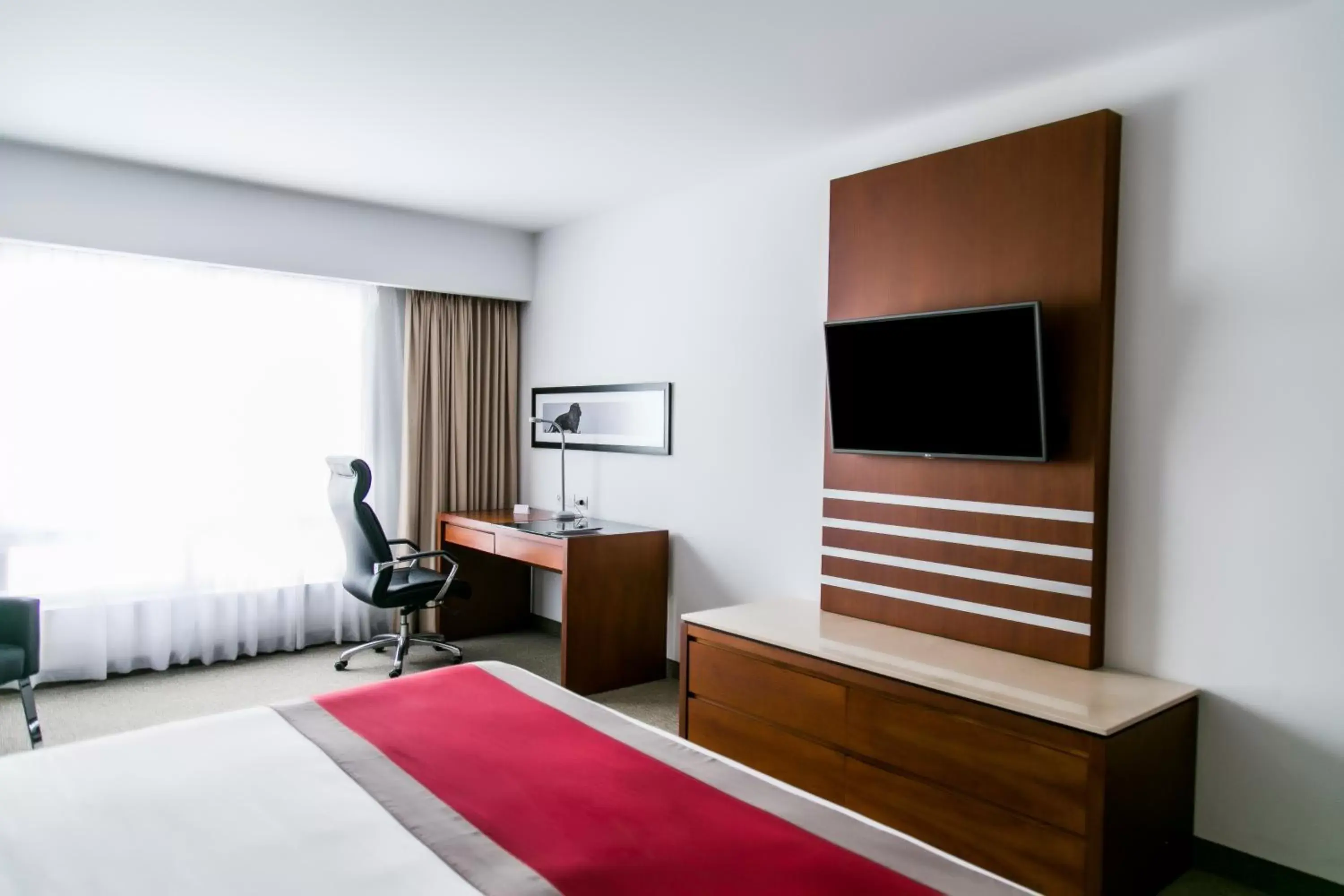 TV and multimedia, Bed in Radisson Poliforum Plaza Hotel Leon