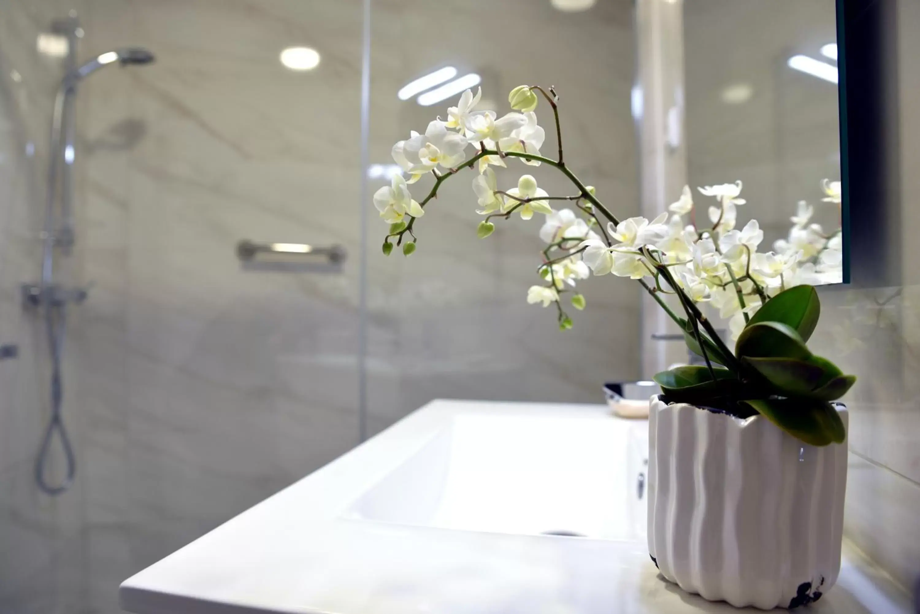 Bathroom in Hotel Visconde