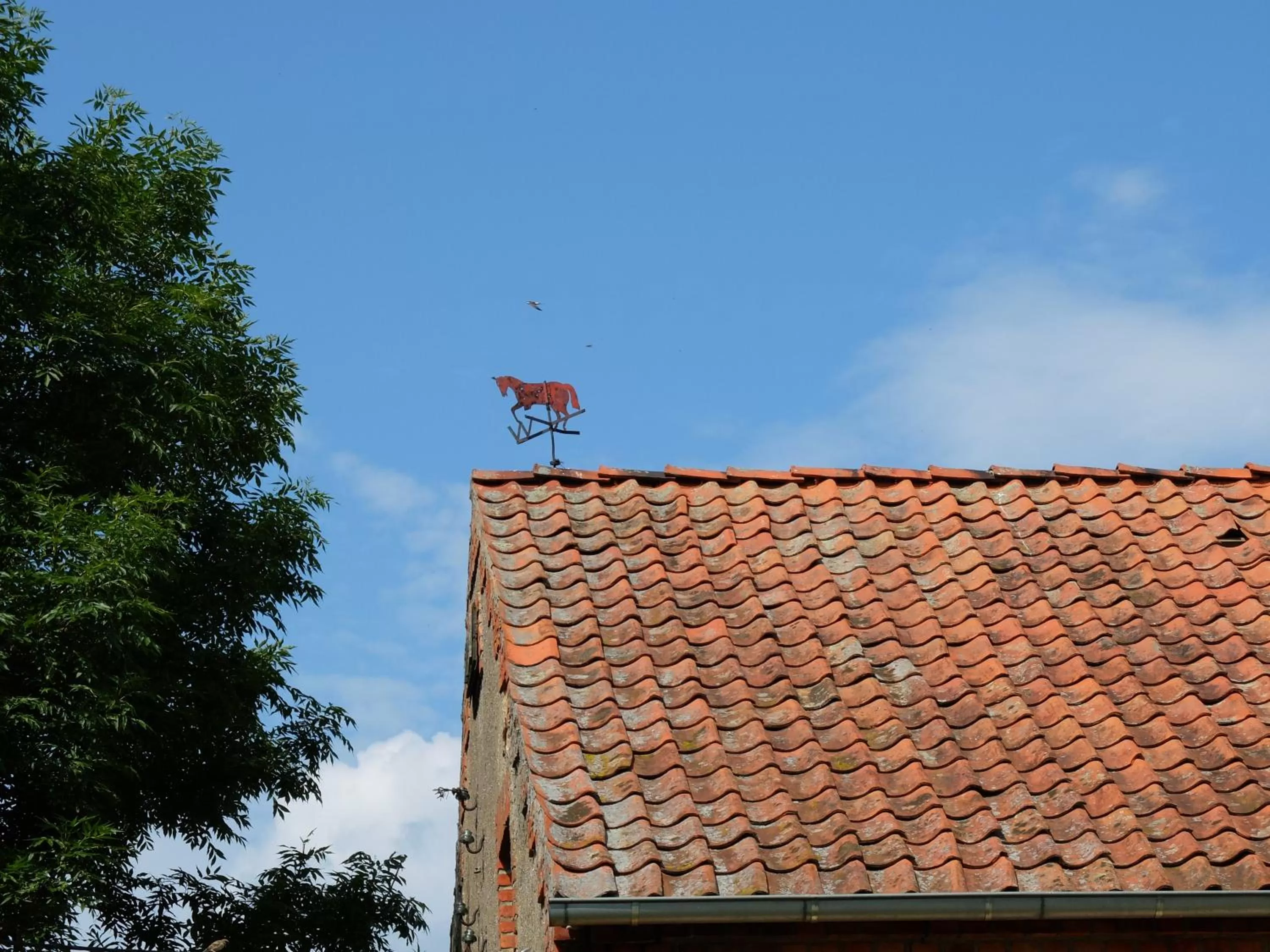 Day in Dom na Mazurach Pilec