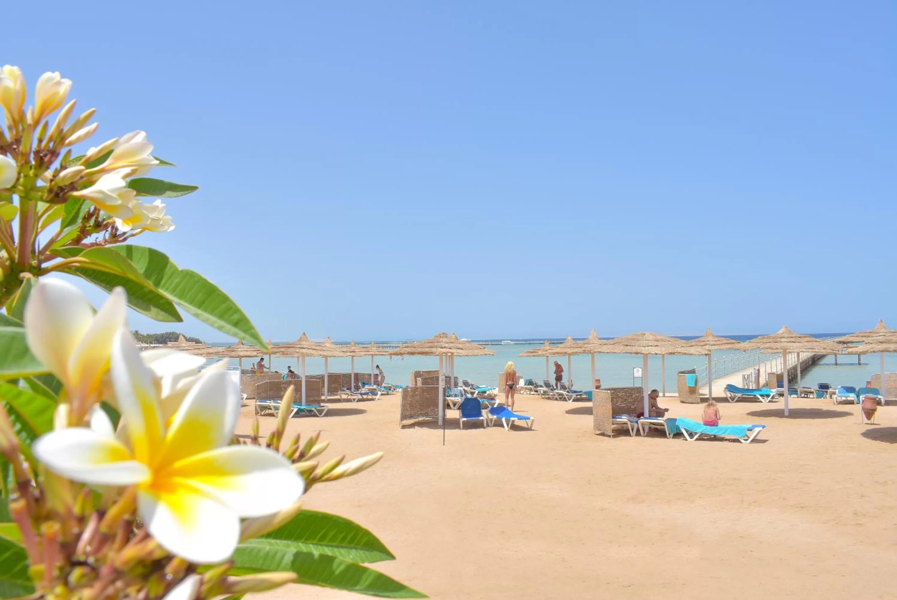 Beach in Jasmine Palace Resort