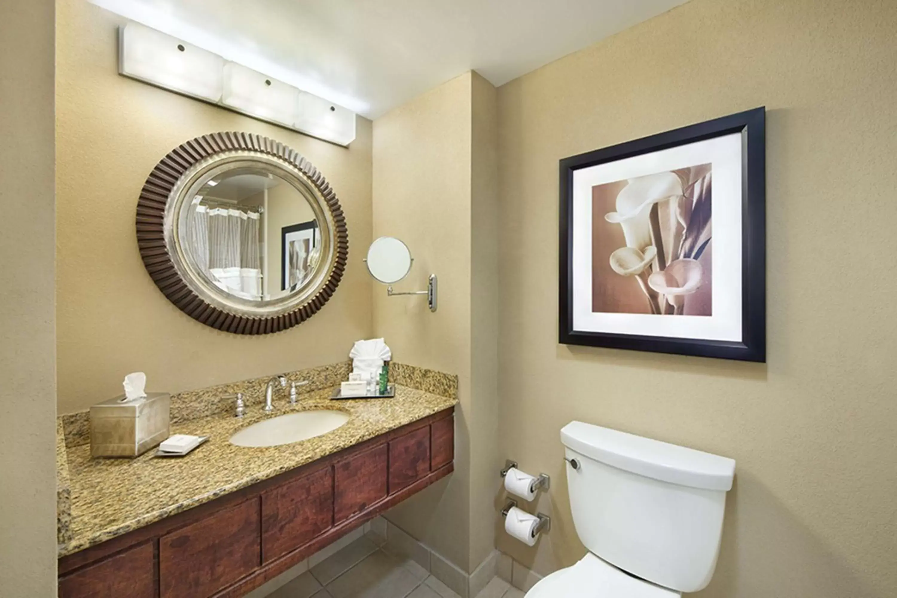 Bathroom in Hilton Orlando Lake Buena Vista - Disney Springs™ Area