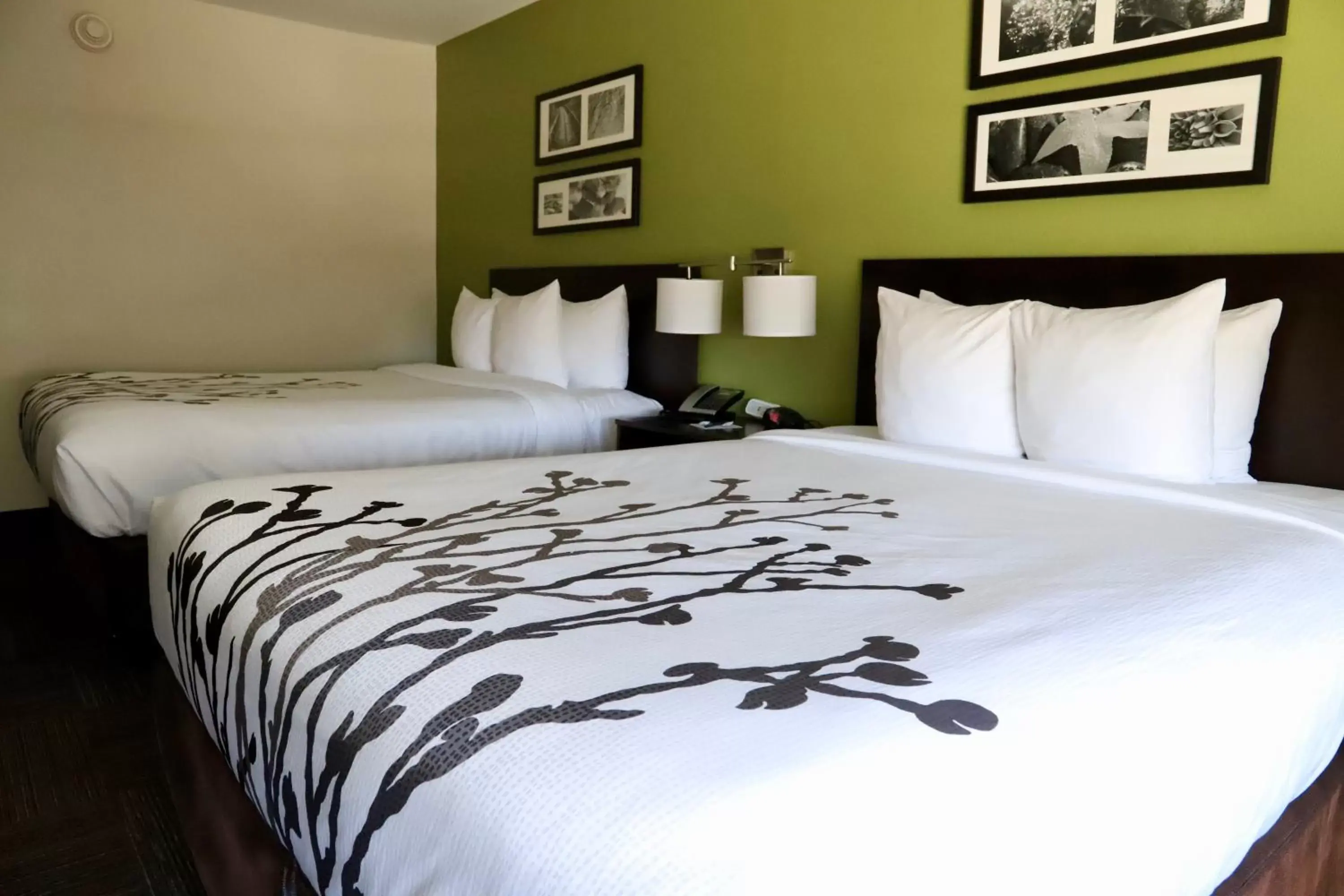 Bed in Sleep Inn & Suites Belmont - St. Clairsville